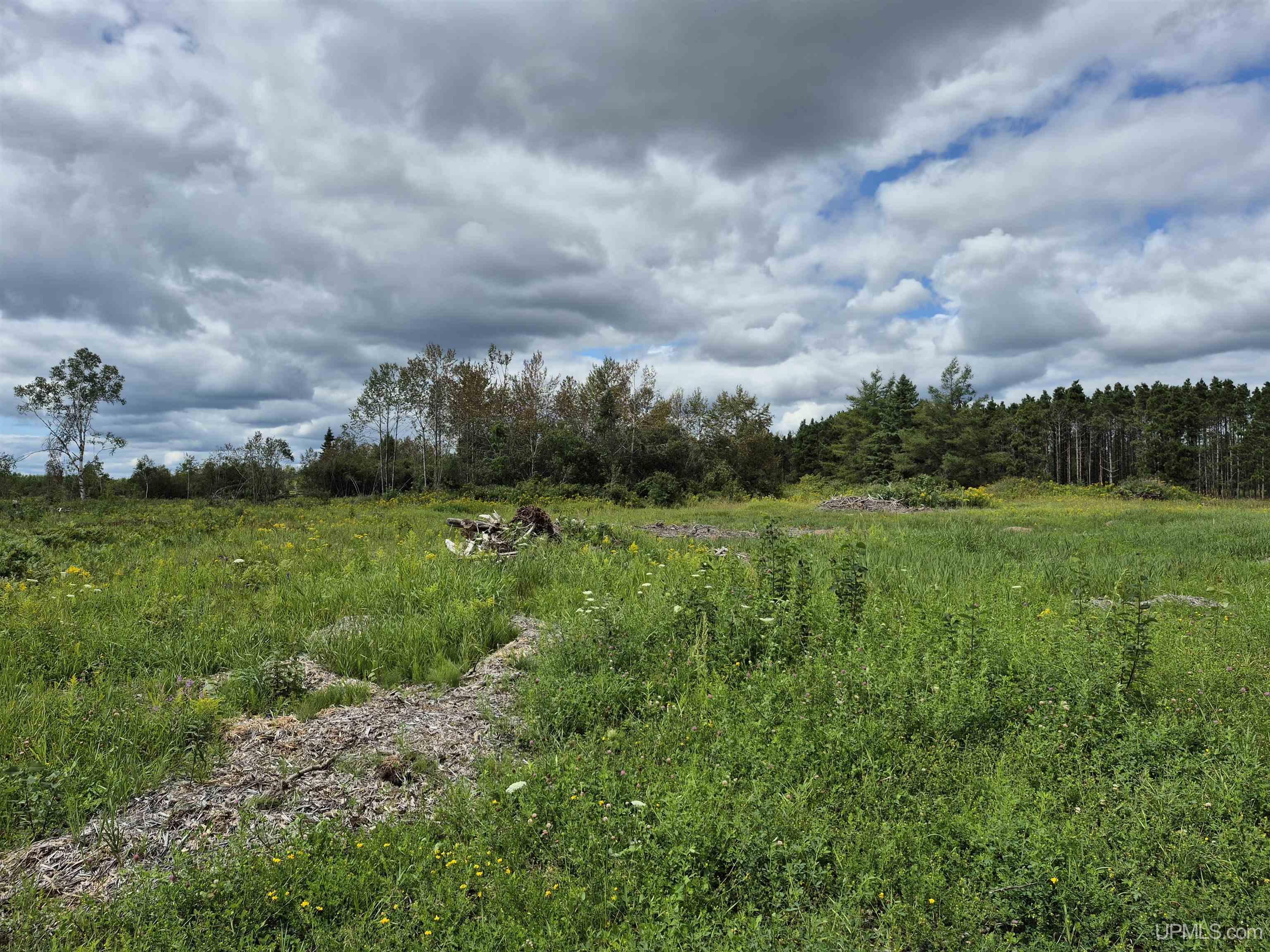 Homes for sale in Gulliver, MI | E 40 Acres Frenette Rd, Gulliver, MI 49840 | MLS# 50190042