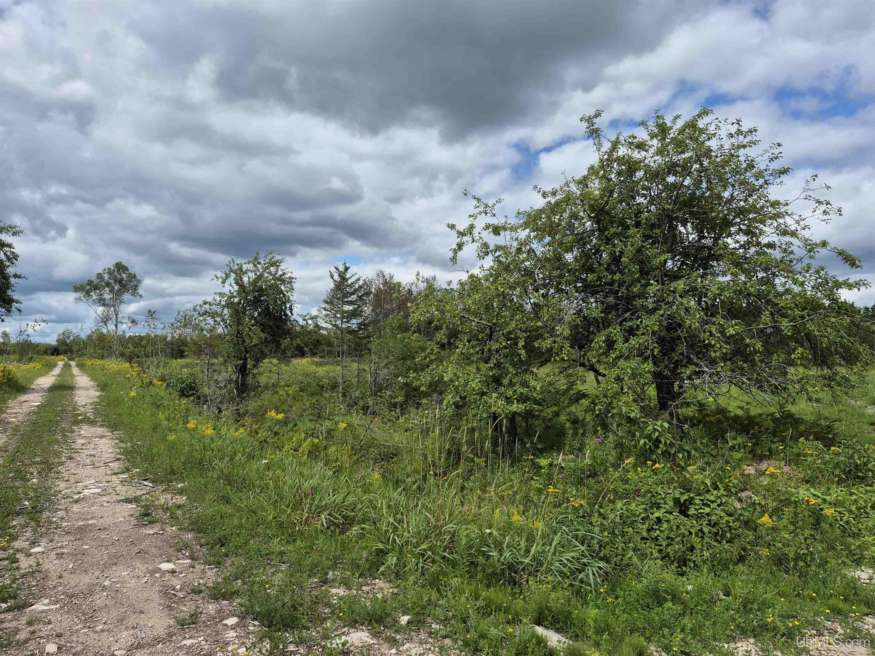 Homes for sale in Gulliver, MI | E 40 Acres Frenette Rd, Gulliver, MI 49840 | MLS# 50190042