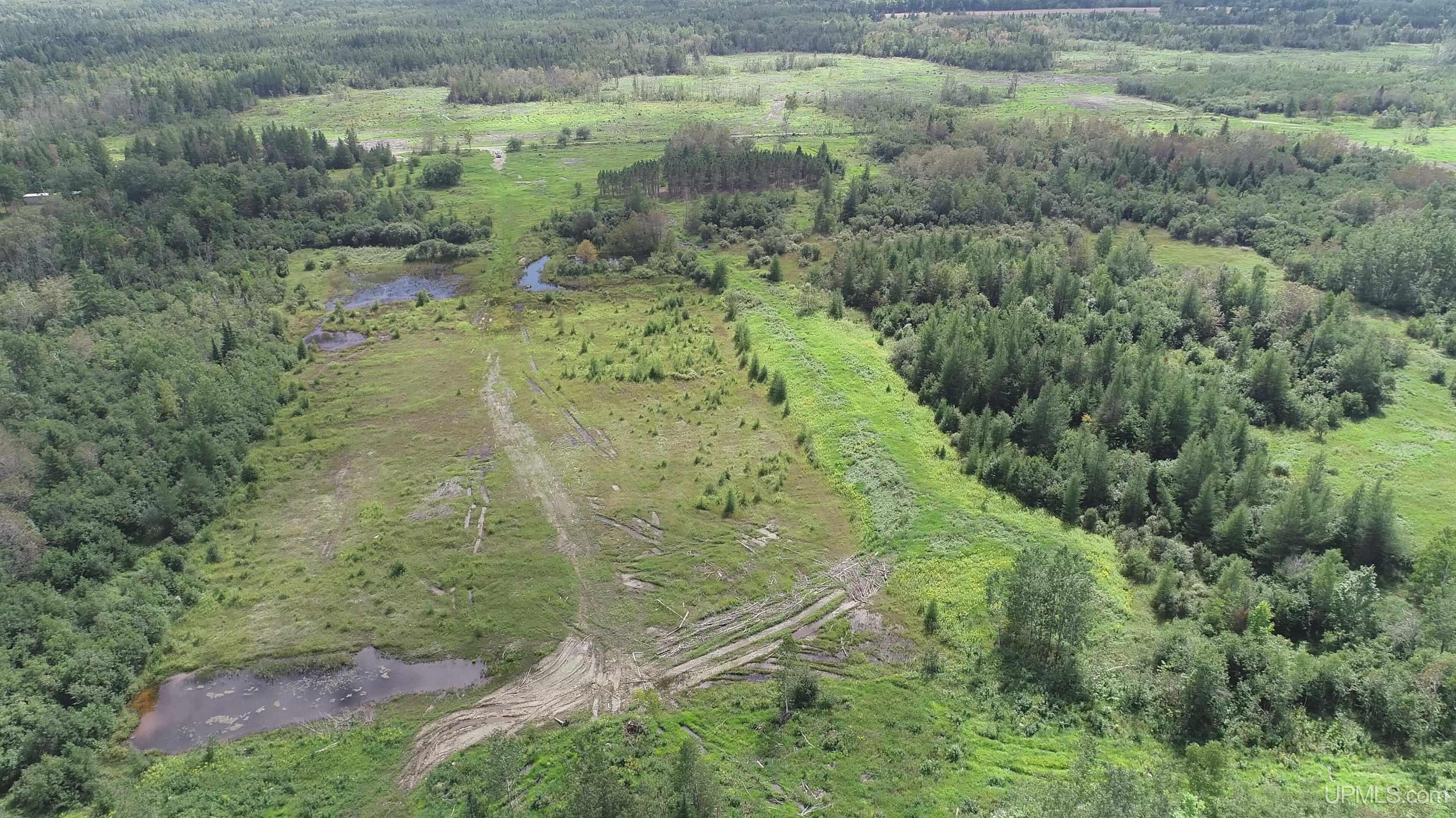 Homes for sale in Gulliver, MI | E 40 Acres Frenette Rd, Gulliver, MI 49840 | MLS# 50190042