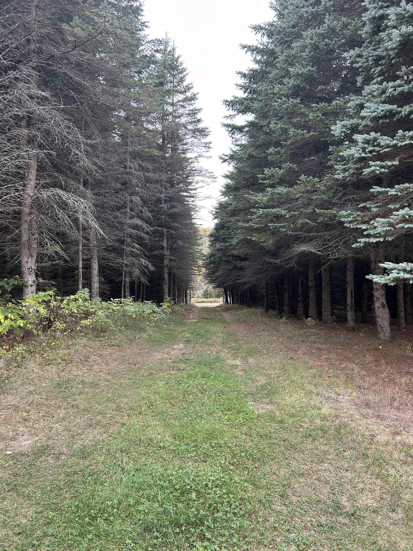 Homes for sale in Mesick, MI | 2782 N 25 Rd, Mesick, MI 49668 | MLS# 50190162