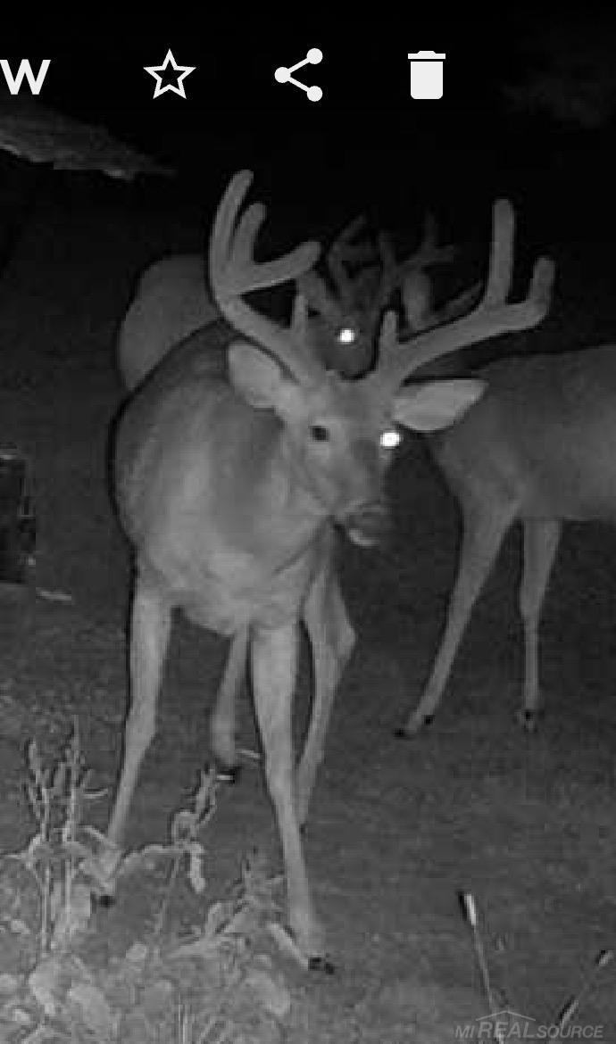 Homes for sale in Mesick, MI | 2782 N 25 Rd, Mesick, MI 49668 | MLS# 50190162