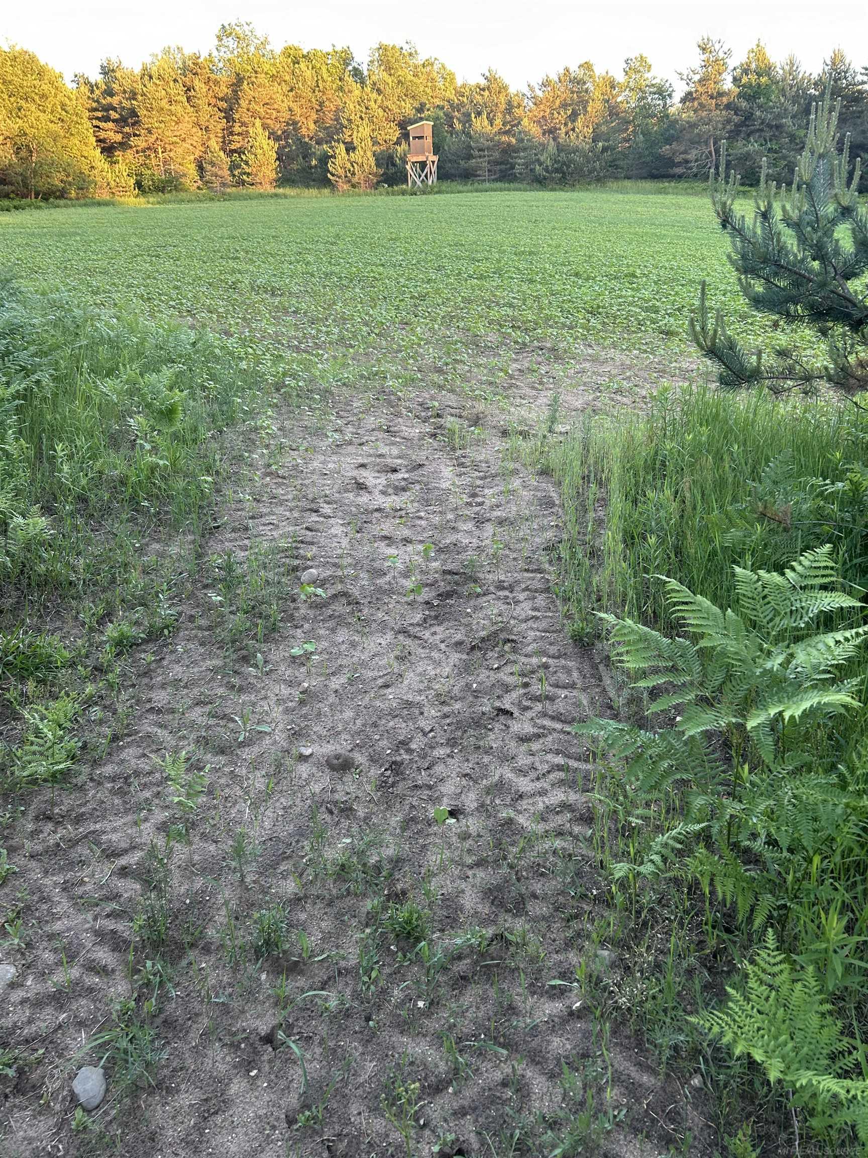 Homes for sale in Mesick, MI | 2782 N 25 Rd, Mesick, MI 49668 | MLS# 50190162