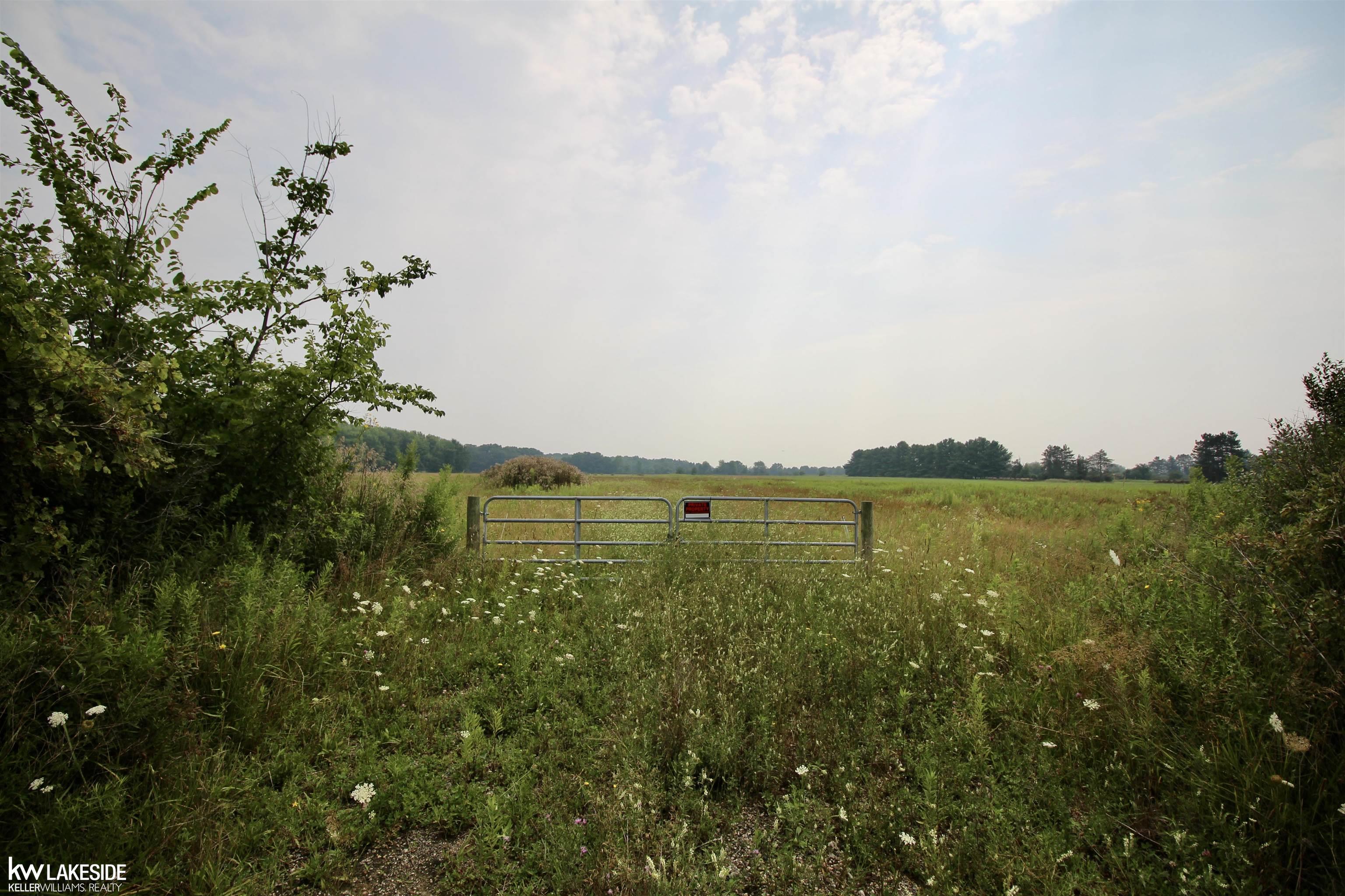 Homes for sale in Riley, MI | 1700 Kinney Rd, Riley, MI 48041 | MLS# 50190230