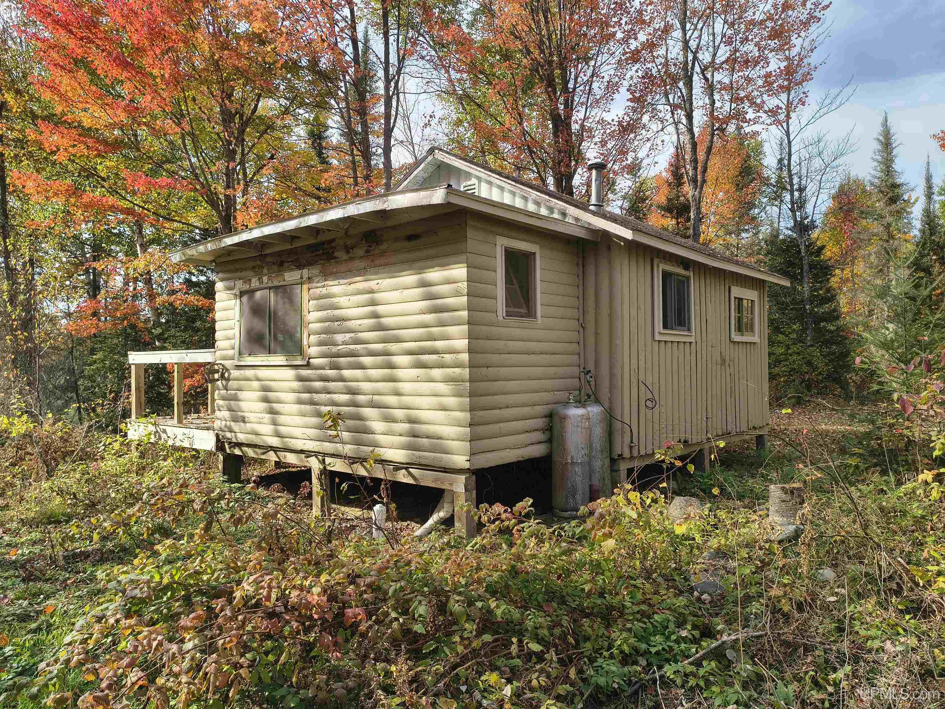 Homes for sale in Amasa, MI | Tbd 55Ac Fishing Site 1 Rd Rd, Amasa, MI 49903 | MLS# 50190374