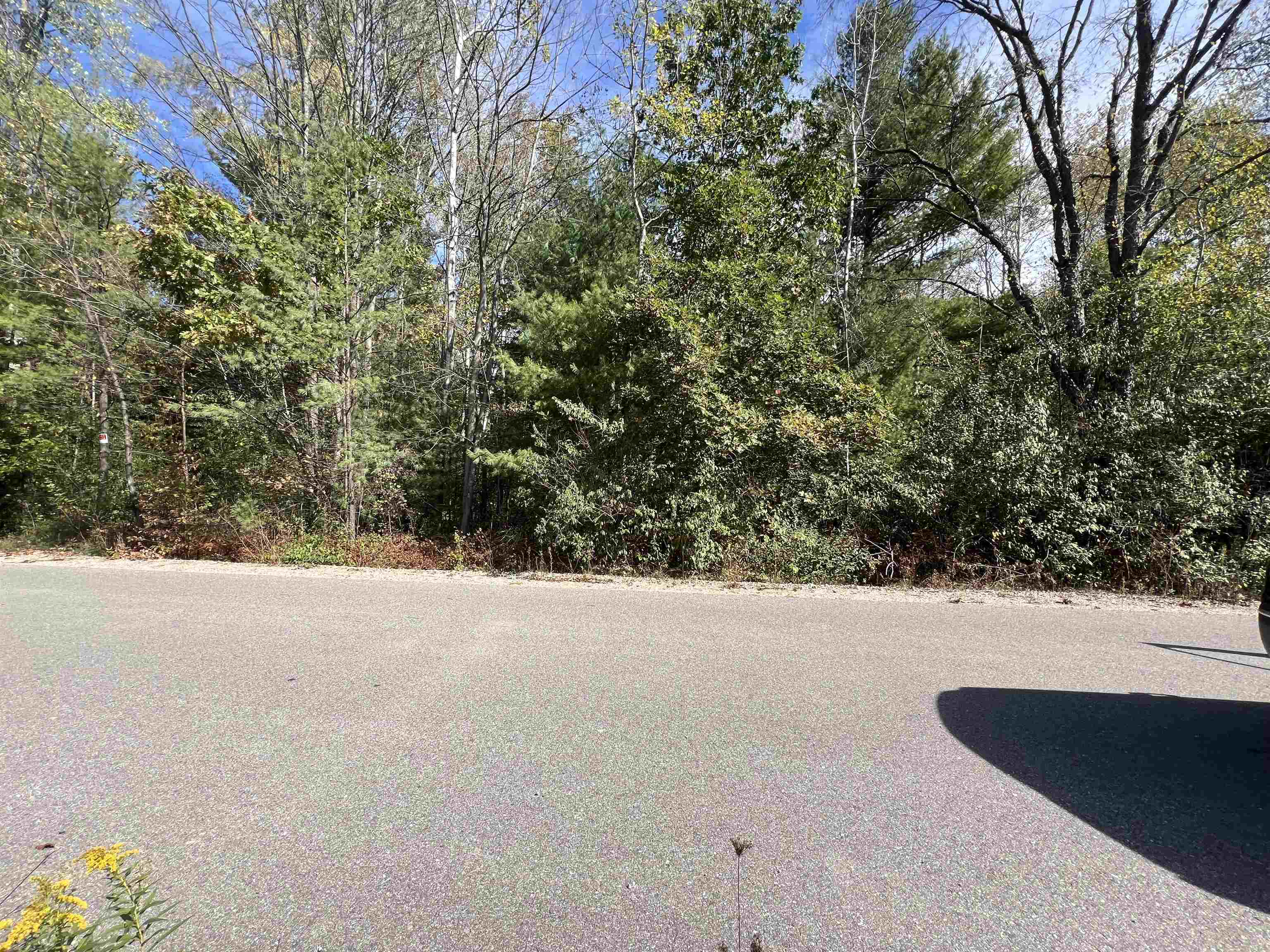 Homes for sale in Beaverton, MI | 562 Quillette St, Beaverton, MI 48612 | MLS# 50190395