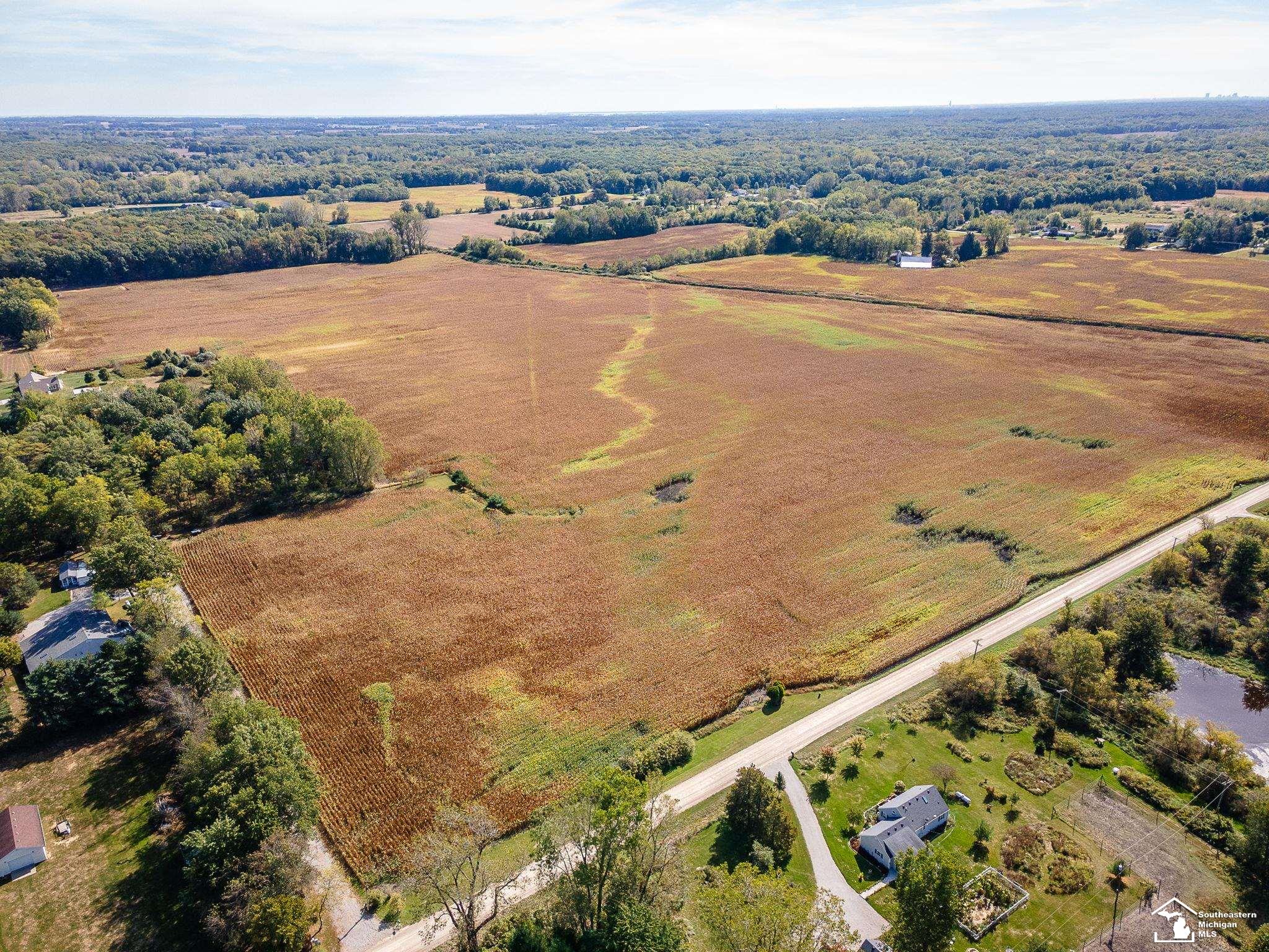 Homes for sale in Petersburg, MI | Parcel A Wells Rd, Petersburg, MI 49270 | MLS# 50190449