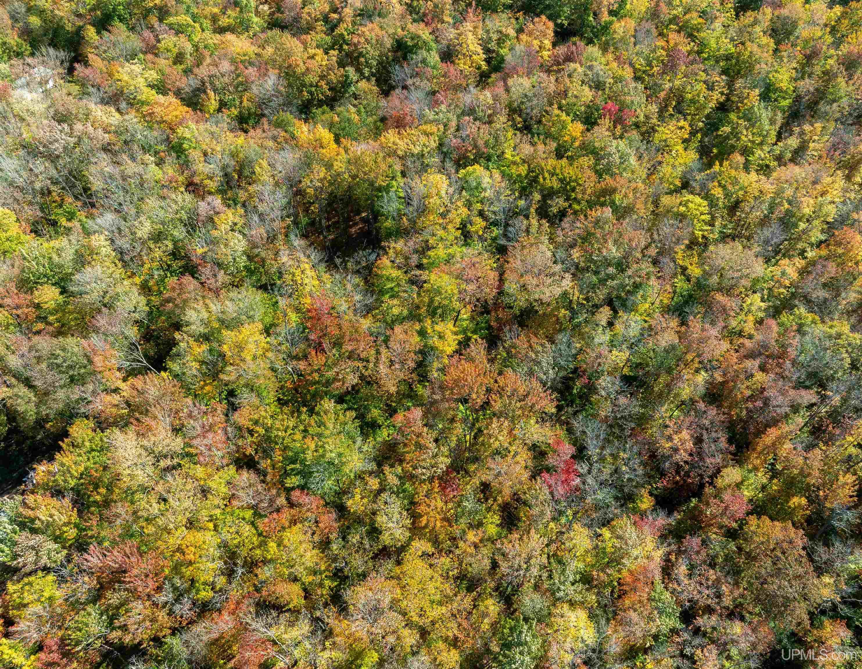 Homes for sale in Shingleton, MI | 14691 N Crooked Lake Road Road, Shingleton, MI 49854 | MLS# 50190826