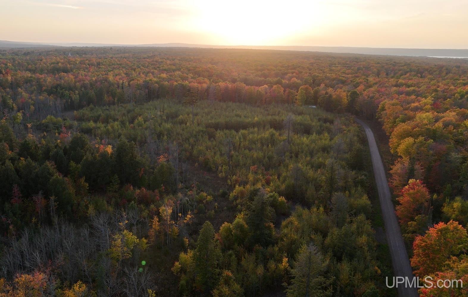Homes for sale in Skanee, MI | Tbdc Nelson Rd, Skanee, MI 49962 | MLS# 50191014