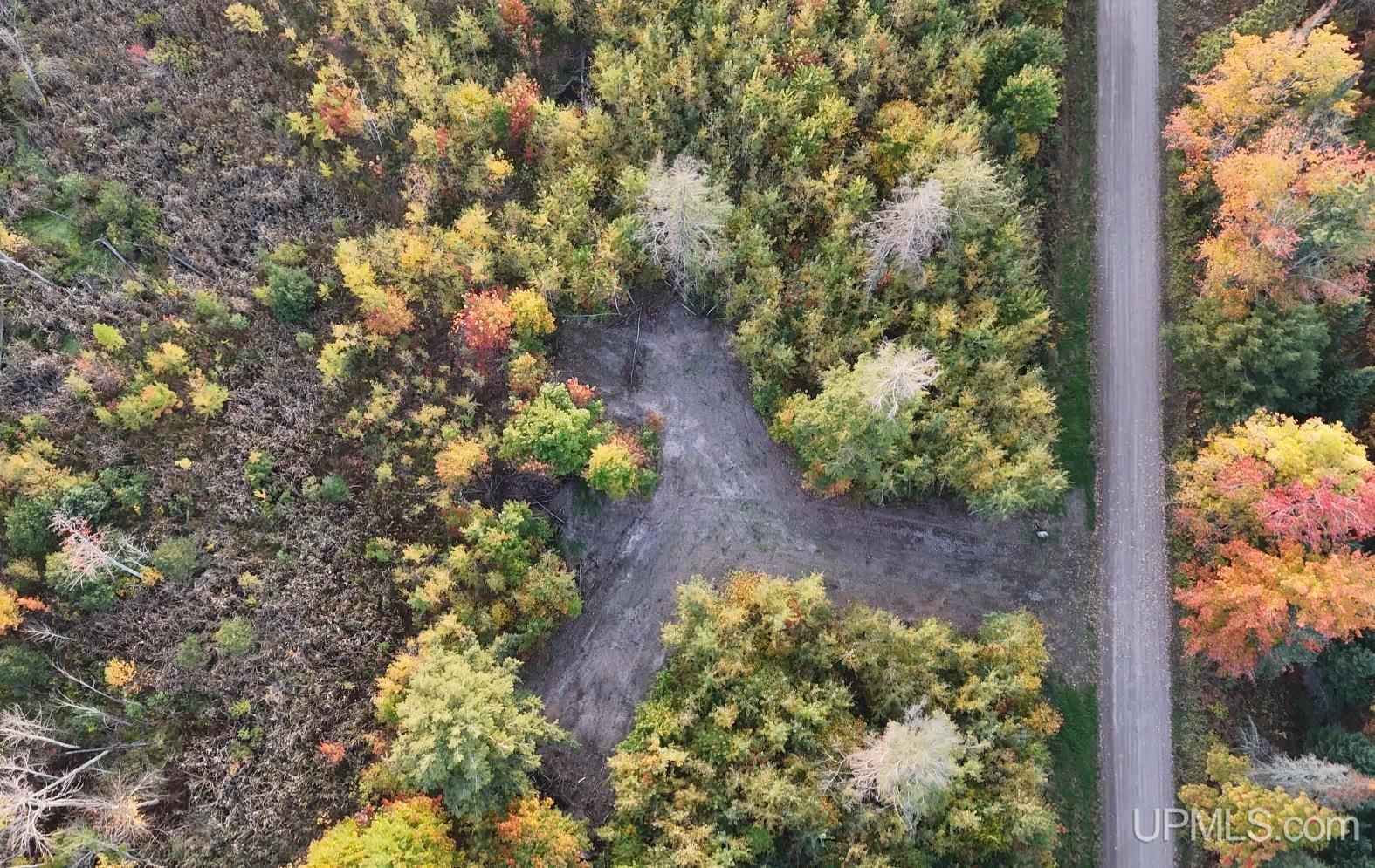 Homes for sale in Skanee, MI | Tbdc Nelson Rd, Skanee, MI 49962 | MLS# 50191014