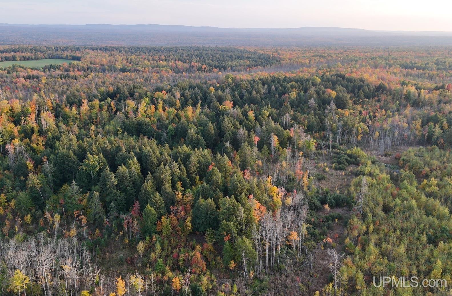 Homes for sale in Skanee, MI | Tbdc Nelson Rd, Skanee, MI 49962 | MLS# 50191014