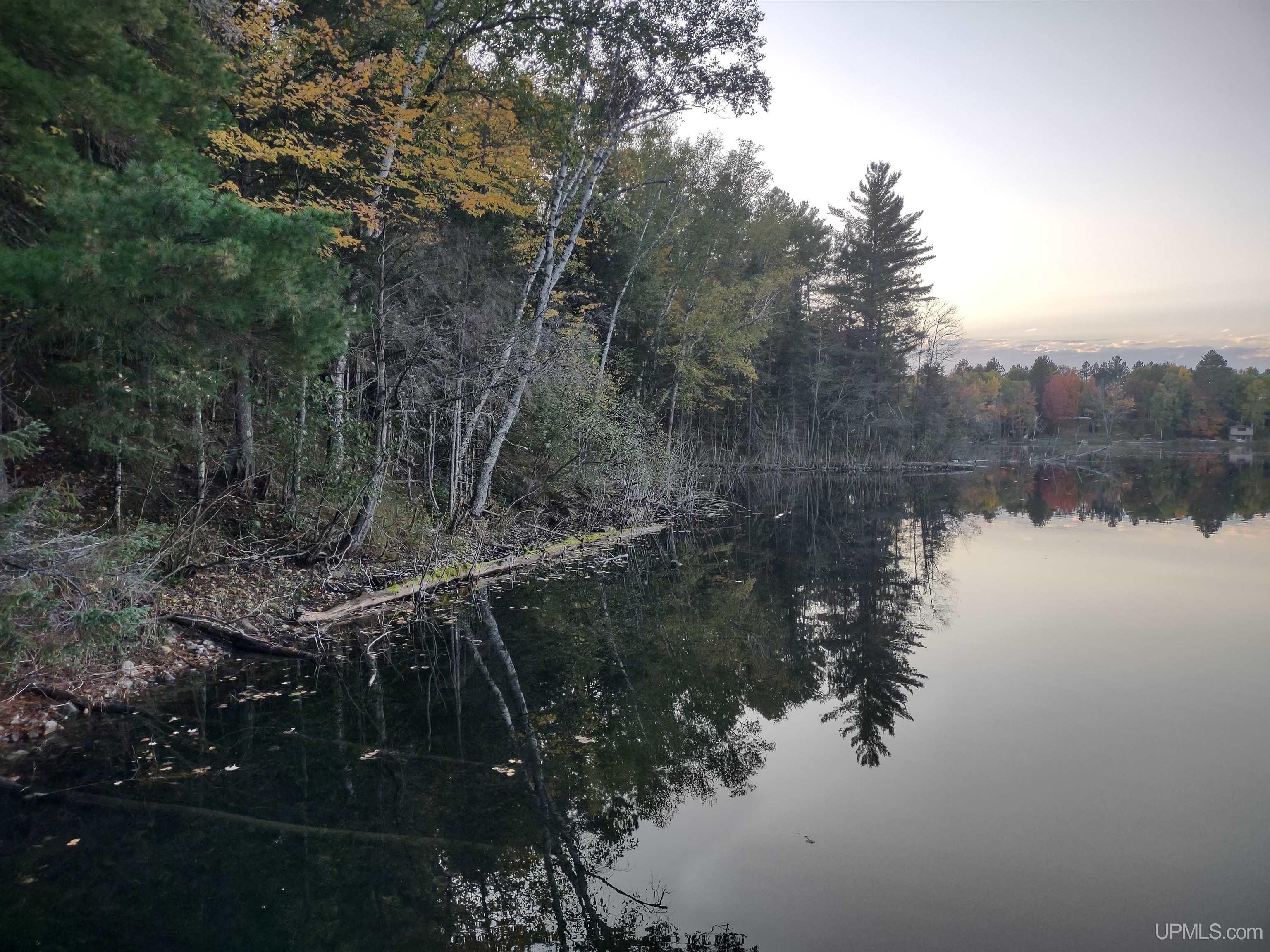 Homes for sale in Crystal Falls, MI | Tbd Long Lake Rd, Crystal Falls, MI 49920 | MLS# 50191105