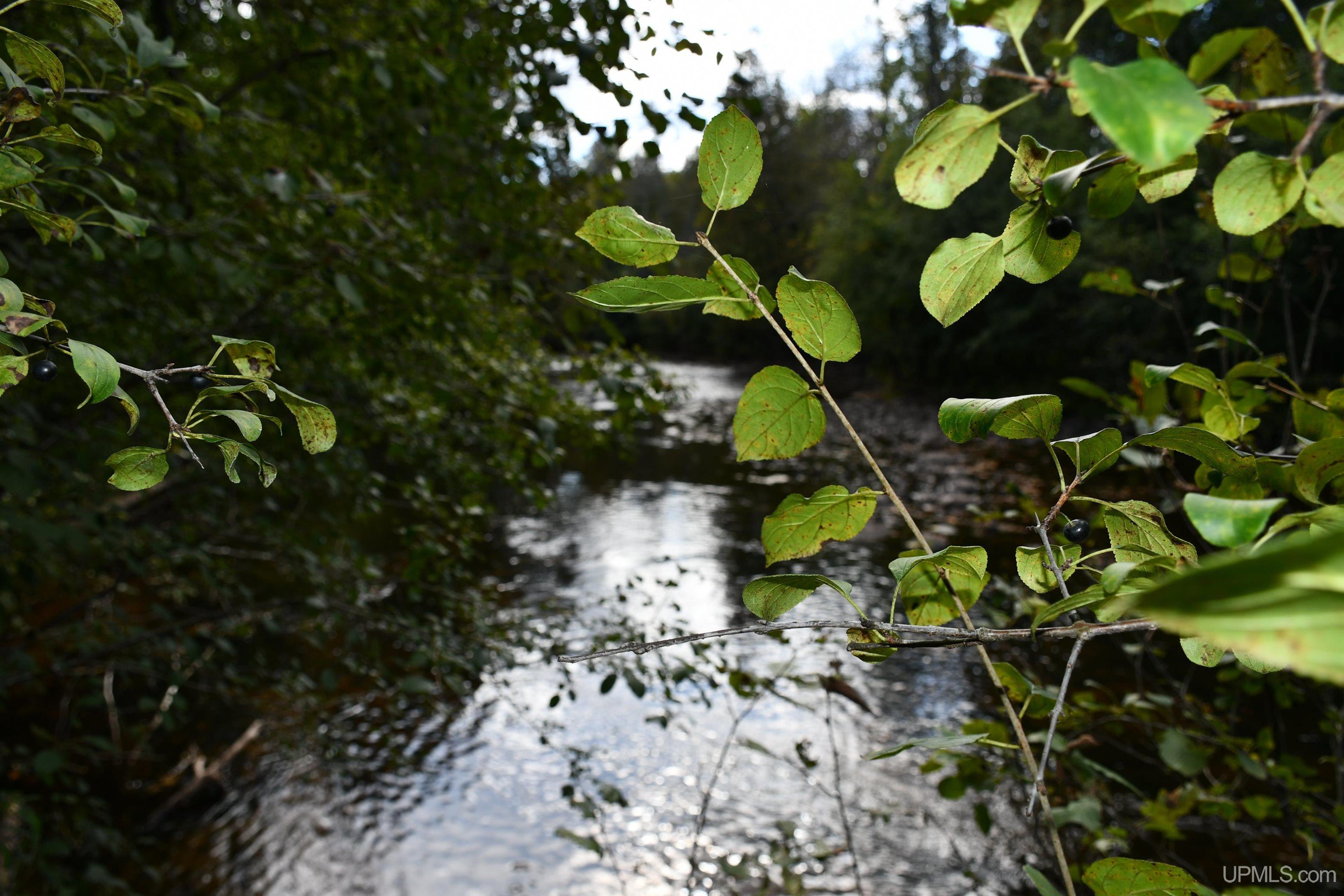 Homes for sale in Hardwood, MI | Lot #14 Northwoods Ln, Hardwood, MI 49834 | MLS# 50191114