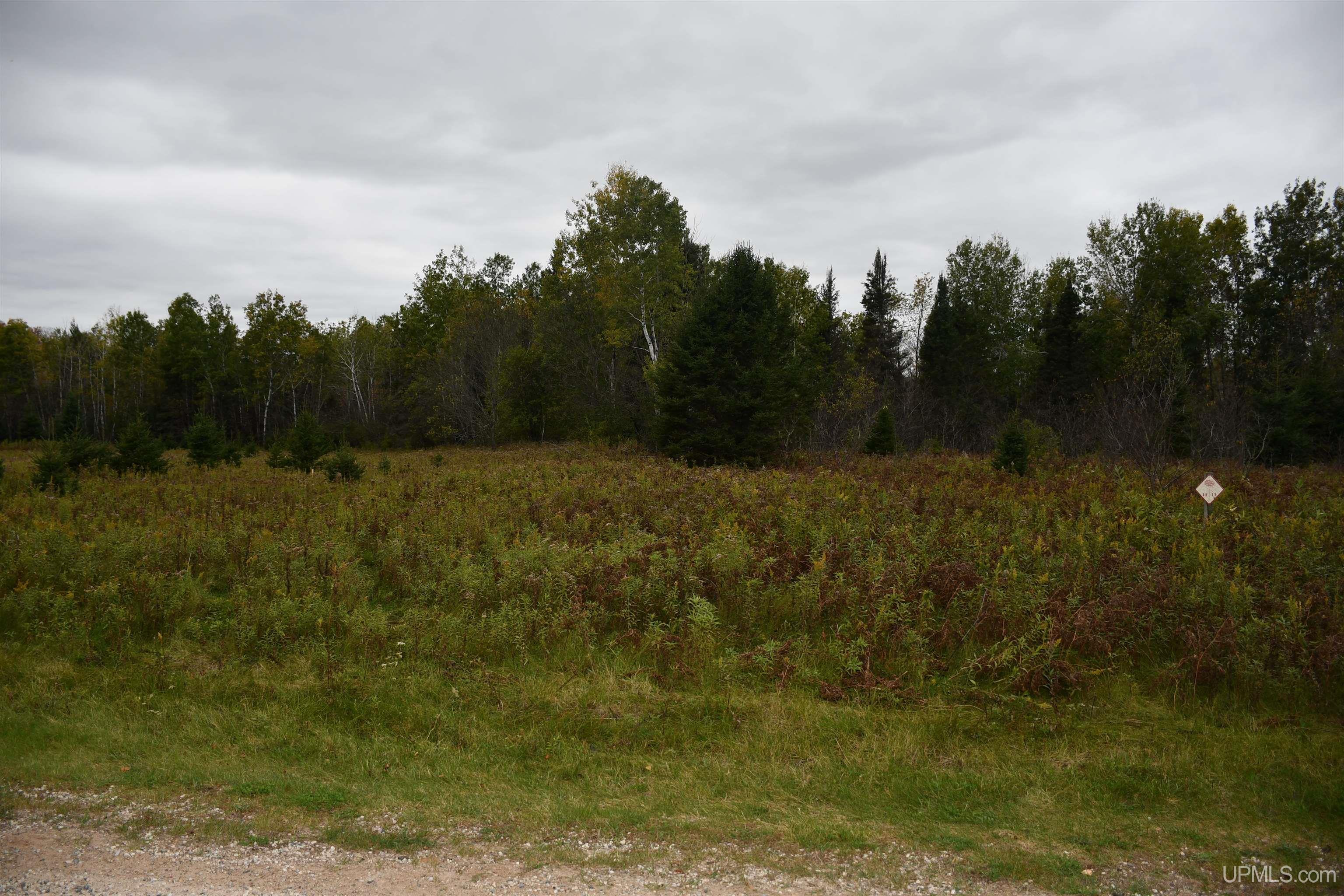 Homes for sale in Hardwood, MI | Lot #14 Northwoods Ln, Hardwood, MI 49834 | MLS# 50191114