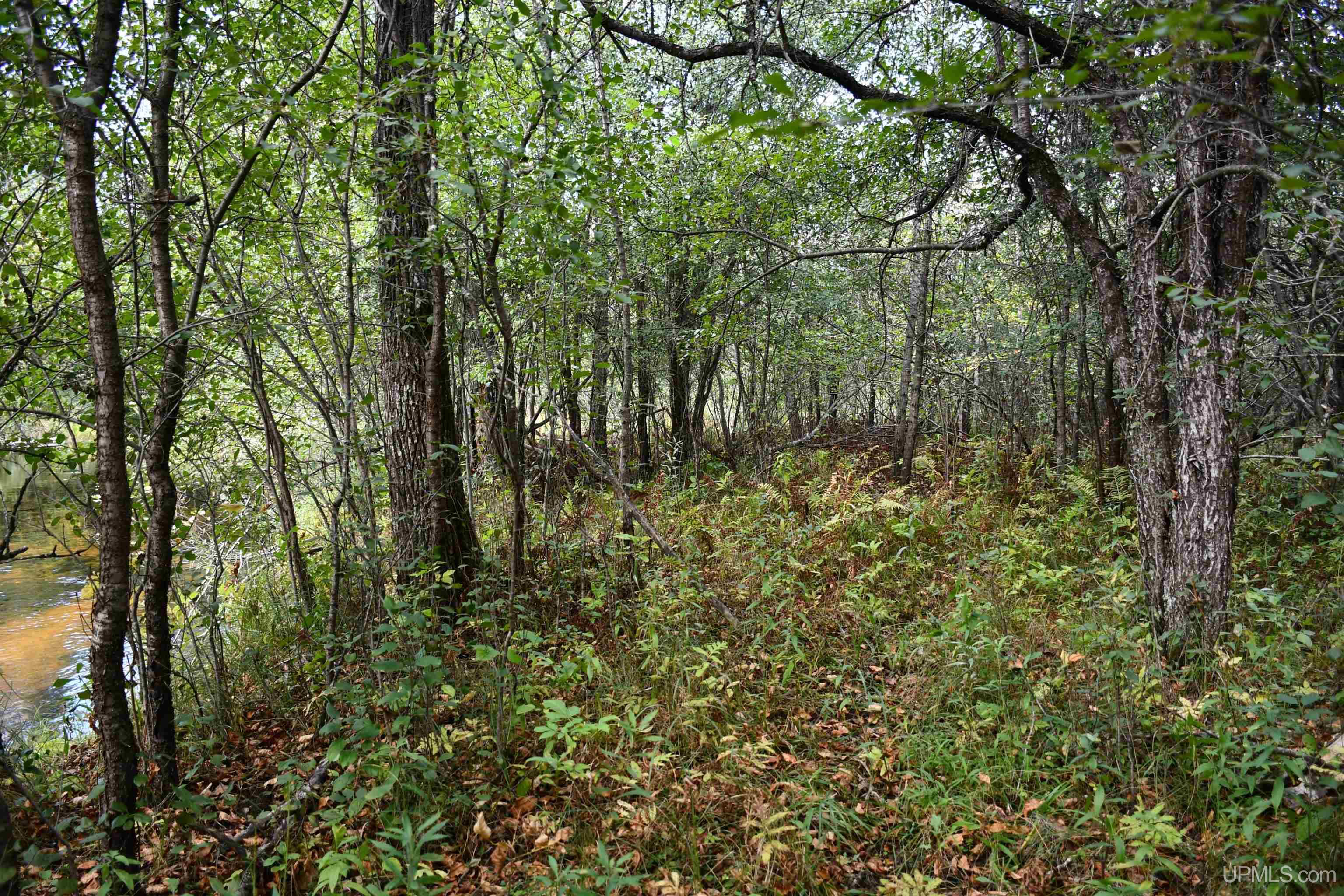 Homes for sale in Hardwood, MI | Lot #14 Northwoods Ln, Hardwood, MI 49834 | MLS# 50191114