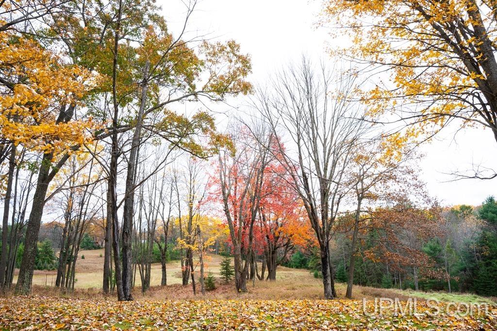 Homes for sale in Iron Mountain, MI | W8078 Collins Rd, Iron Mountain, MI 49801 | MLS# 50191748