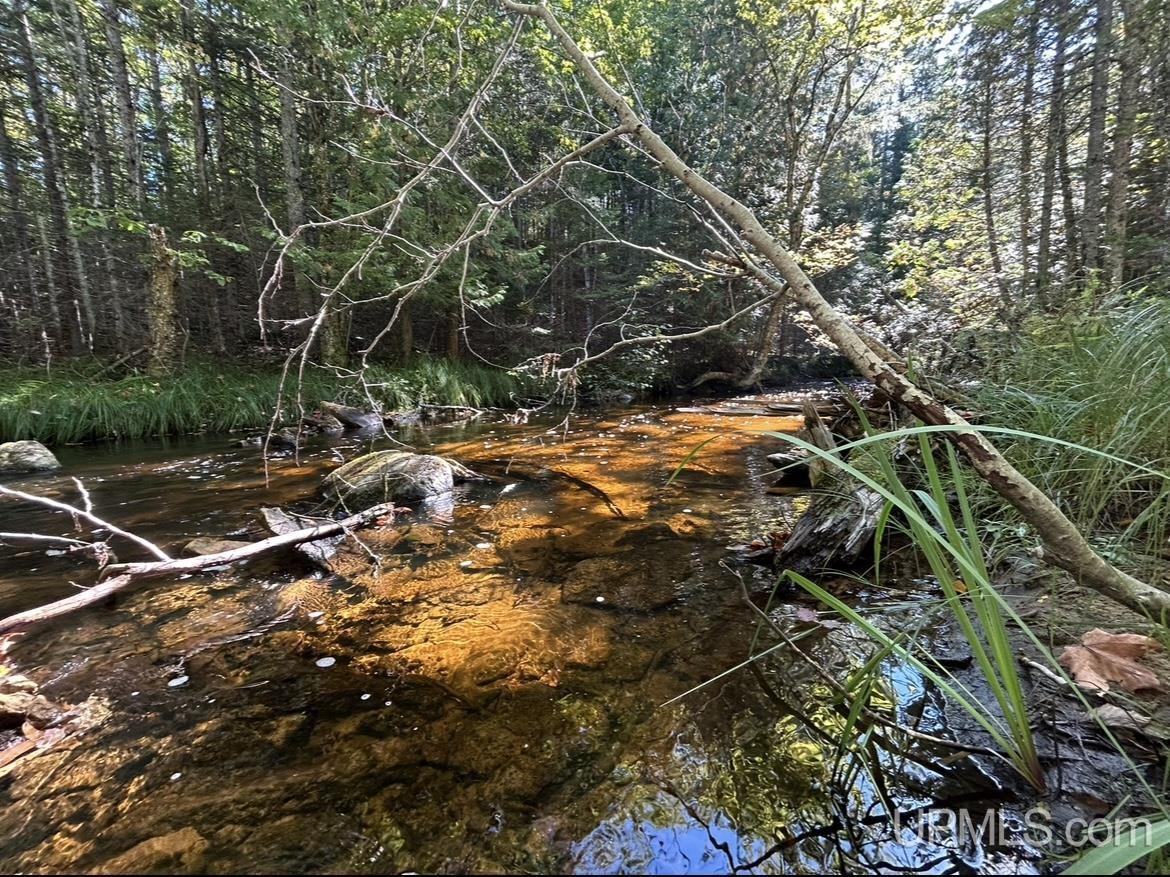 Homes for sale in Shingleton, MI | 40 Acres Mosquito Stub Rd, Shingleton, MI 49884 | MLS# 50191832