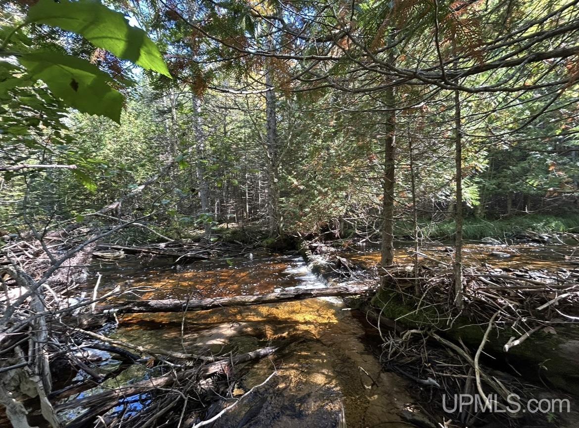 Homes for sale in Shingleton, MI | 40 Acres Mosquito Stub Rd, Shingleton, MI 49884 | MLS# 50191832