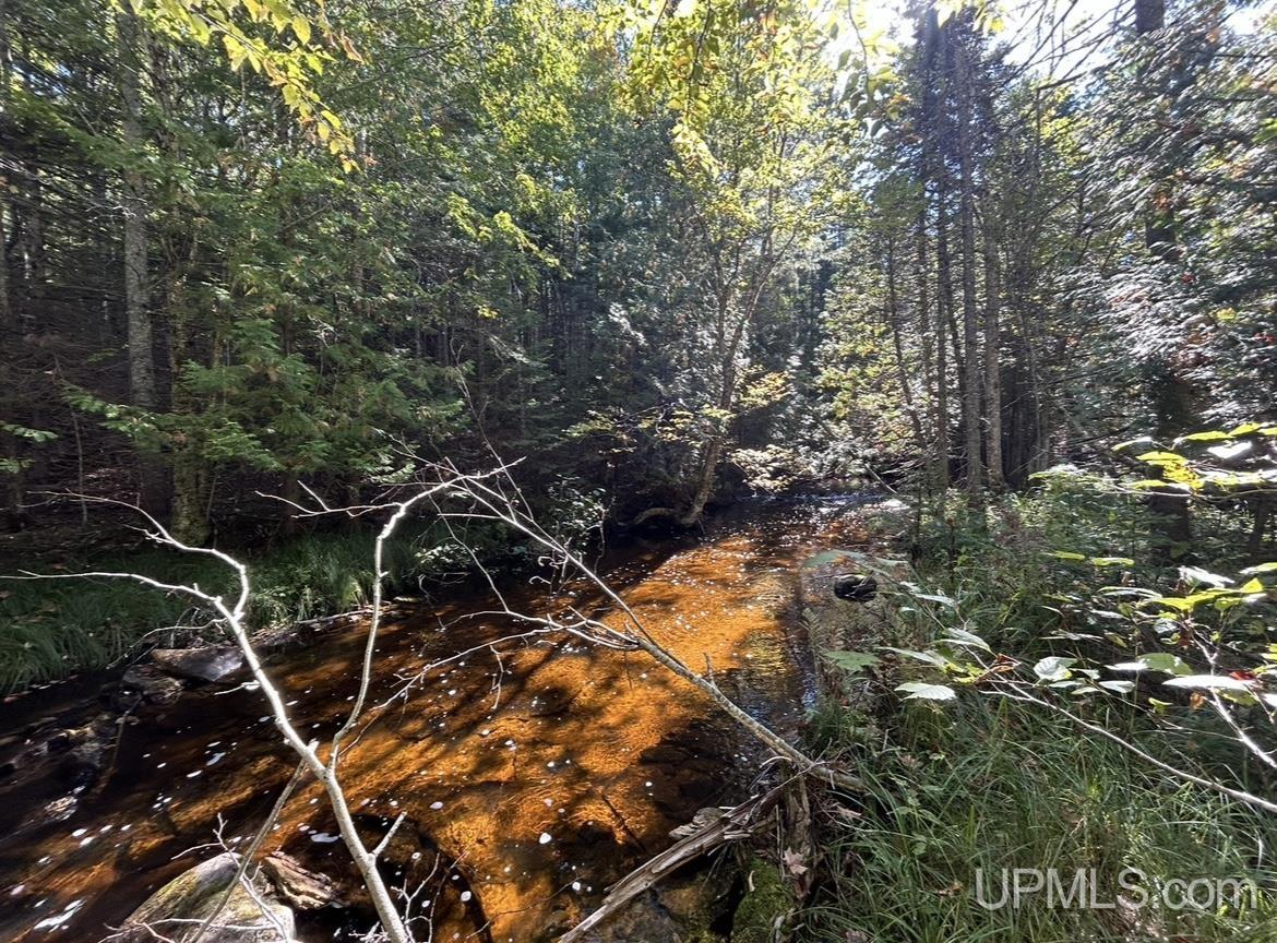 Homes for sale in Shingleton, MI | 40 Acres Mosquito Stub Rd, Shingleton, MI 49884 | MLS# 50191832