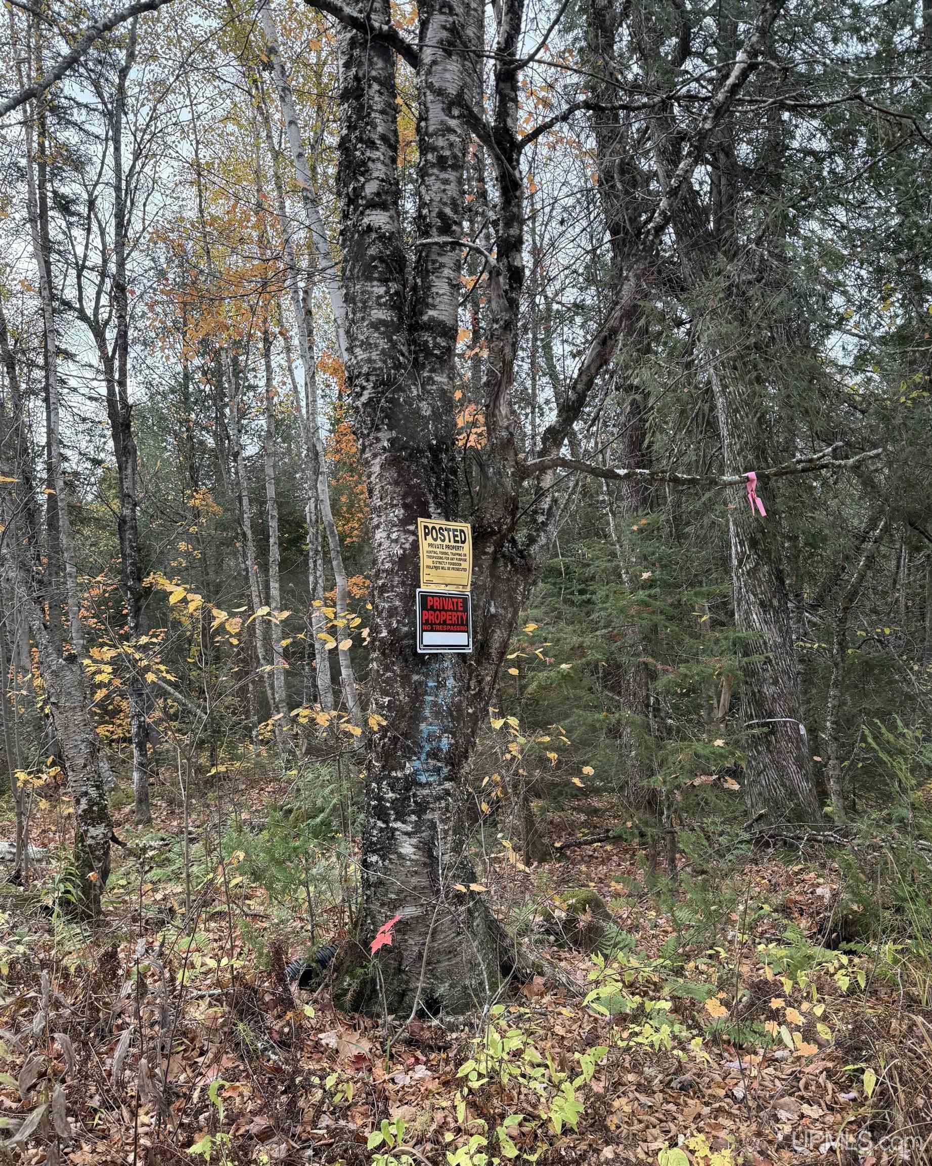 Homes for sale in L'anse, MI | 15559 Old Us41 Hwy, L'anse, MI 49946 | MLS# 50191848