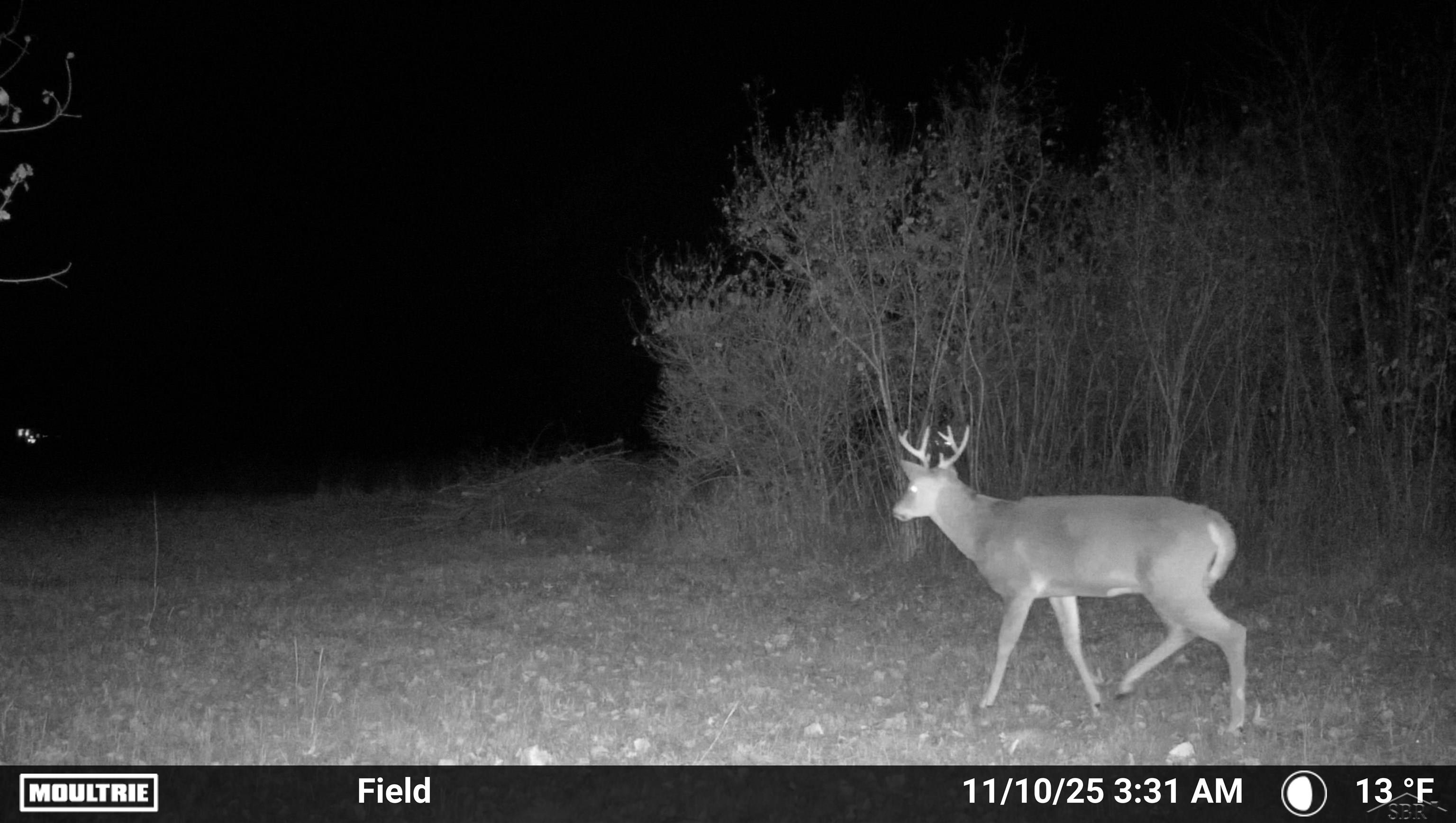 Homes for sale in Midland, MI | 296 W Gordonville Rd, Midland, MI 48640 | MLS# 50191911