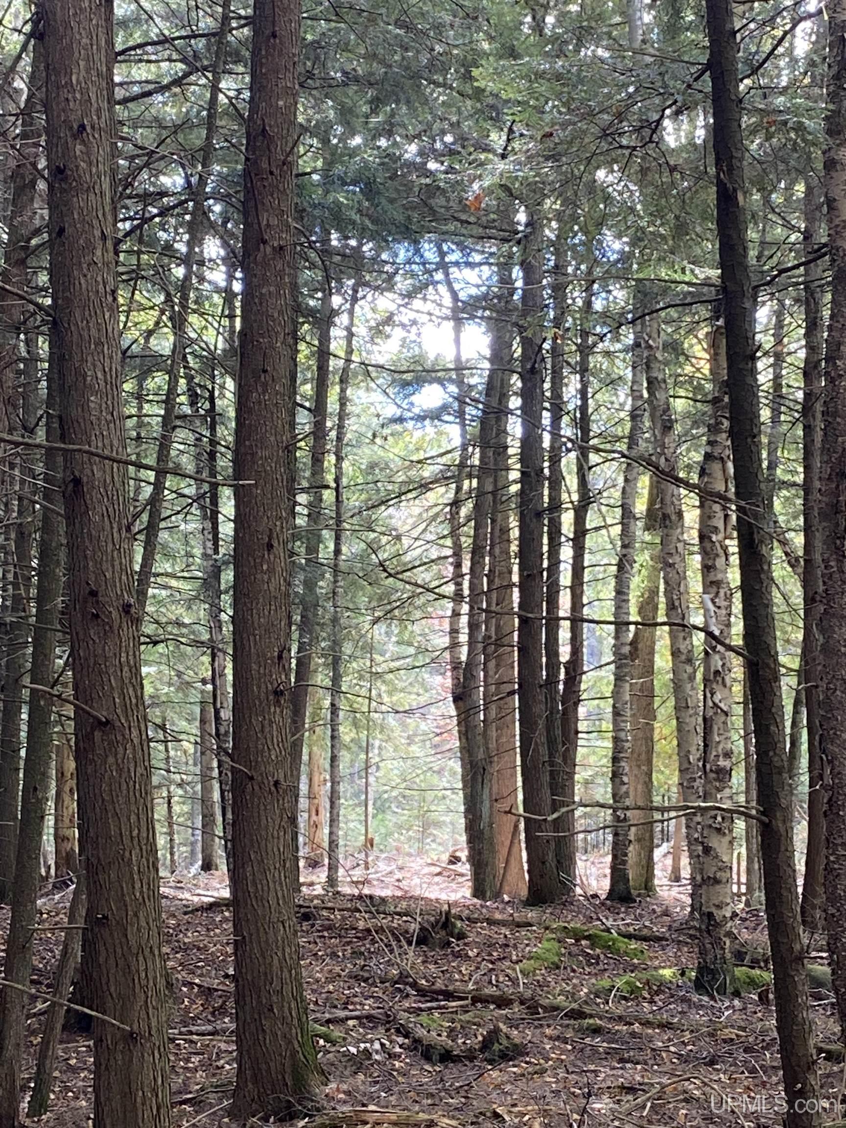 Homes for sale in Rapid River, MI | Tbd E Stonington Aa5 Rd, Rapid River, MI 49878 | MLS# 50192153