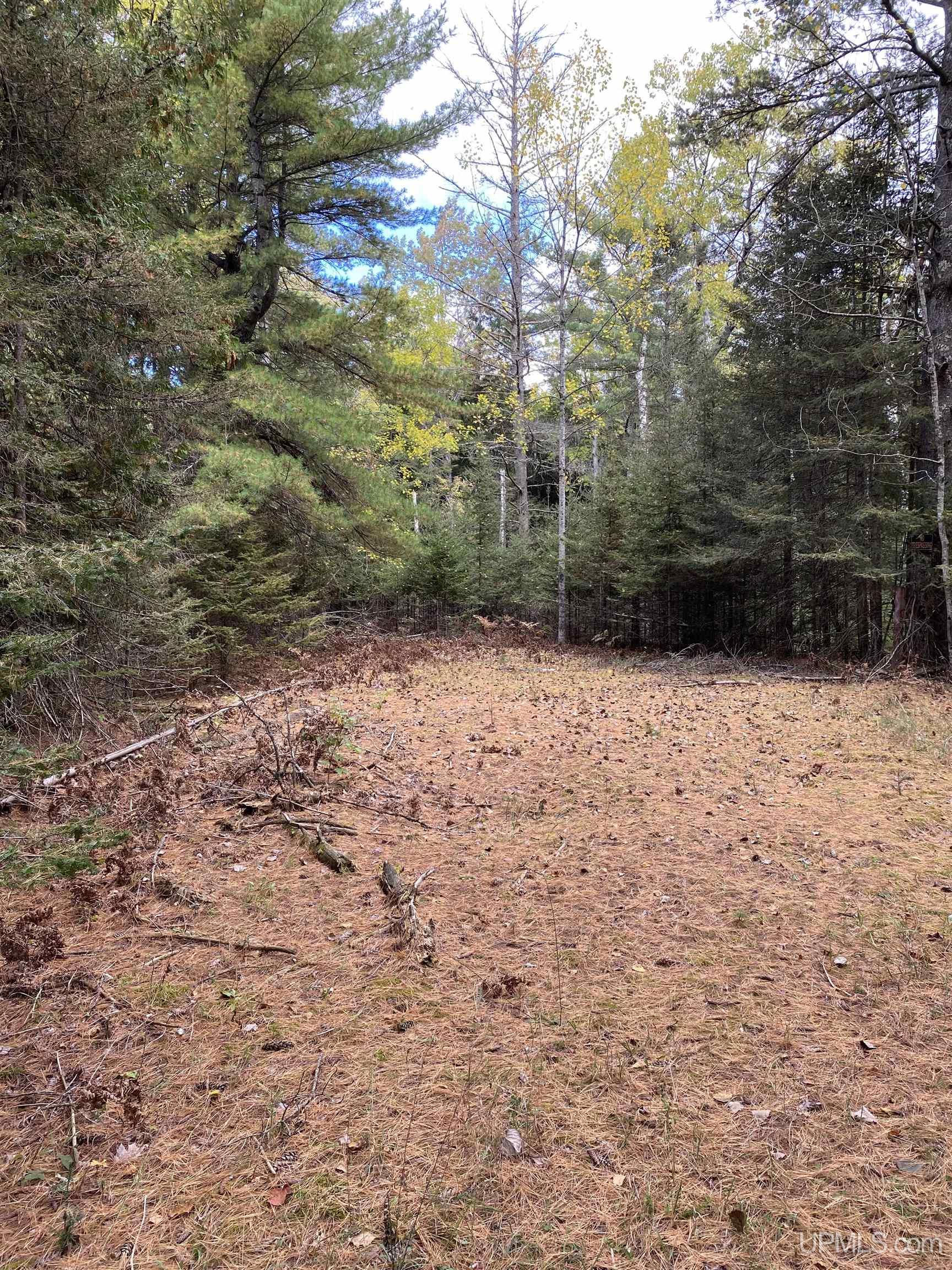 Homes for sale in Rapid River, MI | Tbd E Stonington Aa5 Rd, Rapid River, MI 49878 | MLS# 50192153