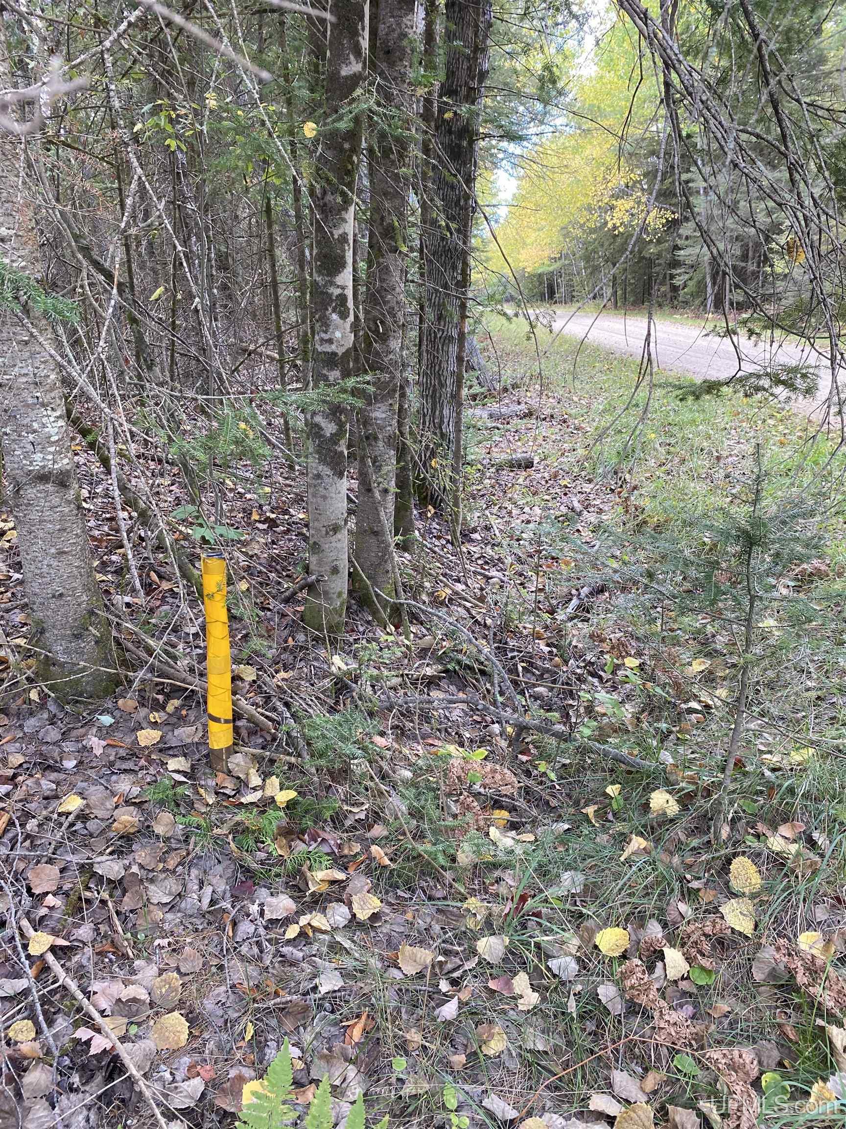 Homes for sale in Rapid River, MI | Tbd E Stonington Aa5 Rd, Rapid River, MI 49878 | MLS# 50192153