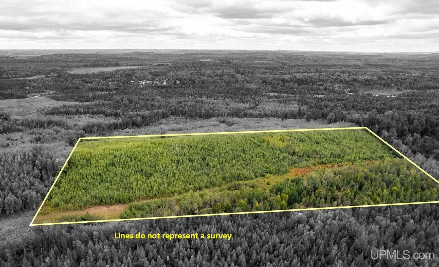 Homes for sale in Perronville, MI | Tbd Murray Rd Rd, Perronville, MI 49873 | MLS# 50192378