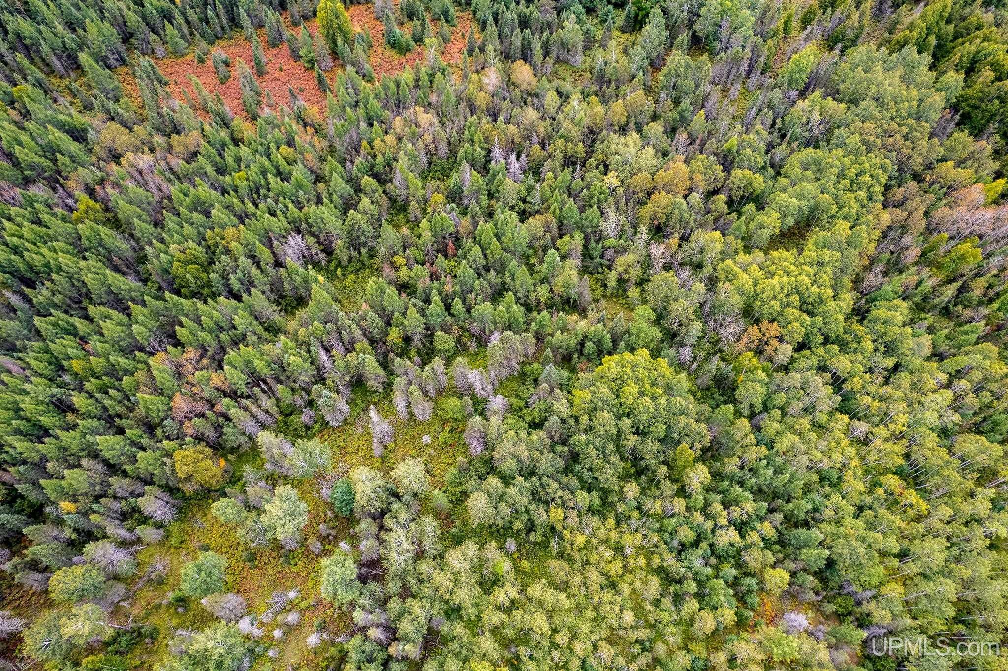 Homes for sale in Perronville, MI | Tbd Murray Rd Rd, Perronville, MI 49873 | MLS# 50192378