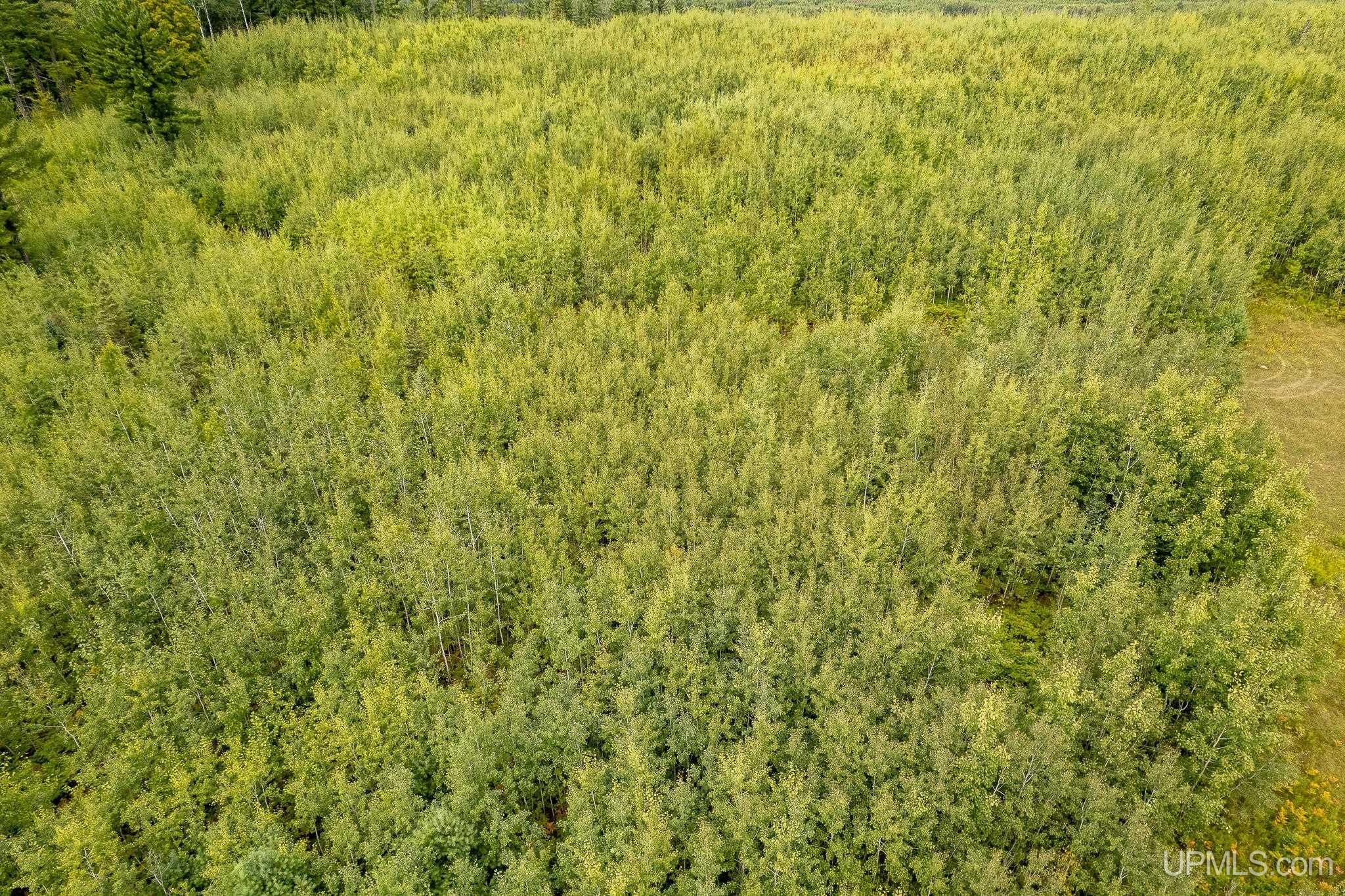 Homes for sale in Perronville, MI | Tbd Murray Rd Rd, Perronville, MI 49873 | MLS# 50192378