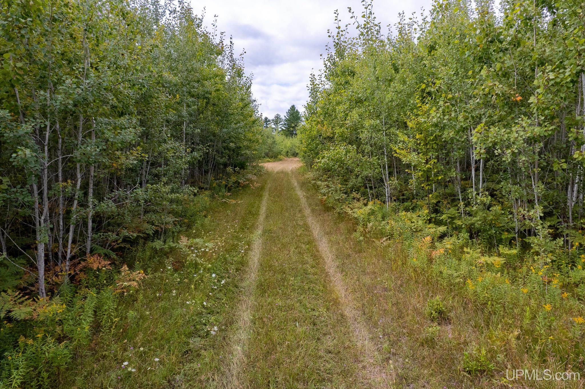 Homes for sale in Perronville, MI | Tbd Murray 60 Rd, Perronville, MI 49873 | MLS# 50192391