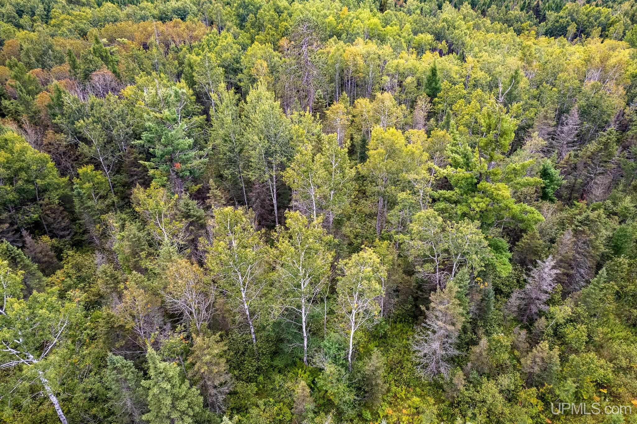 Homes for sale in Perronville, MI | Tbd Murray 60 Rd, Perronville, MI 49873 | MLS# 50192391