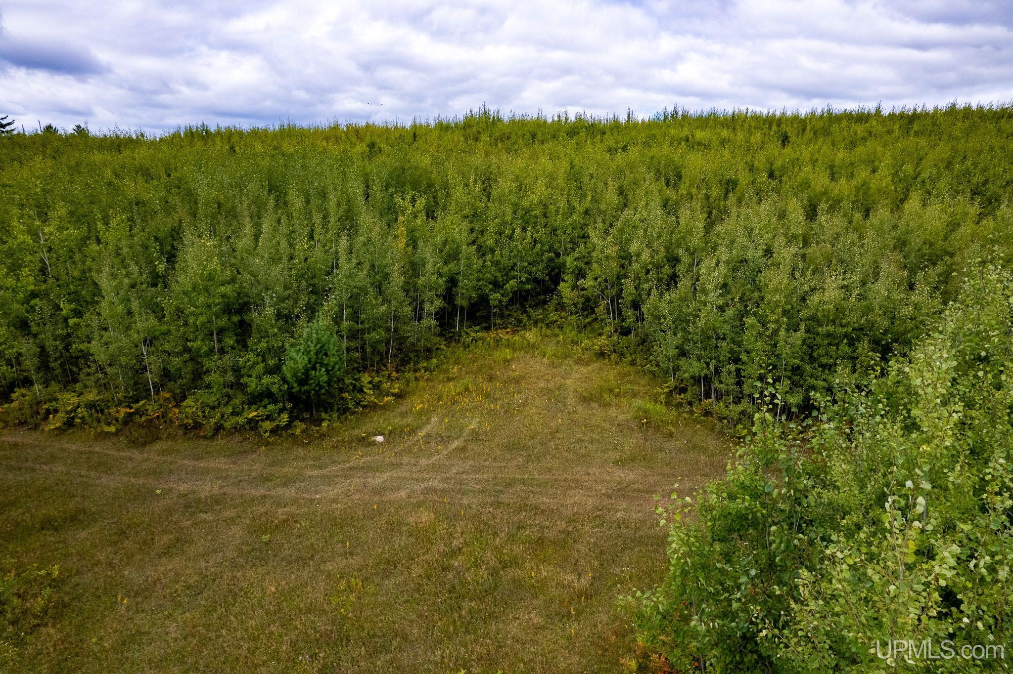 Homes for sale in Perronville, MI | Tbd Murray 60 Rd, Perronville, MI 49873 | MLS# 50192391