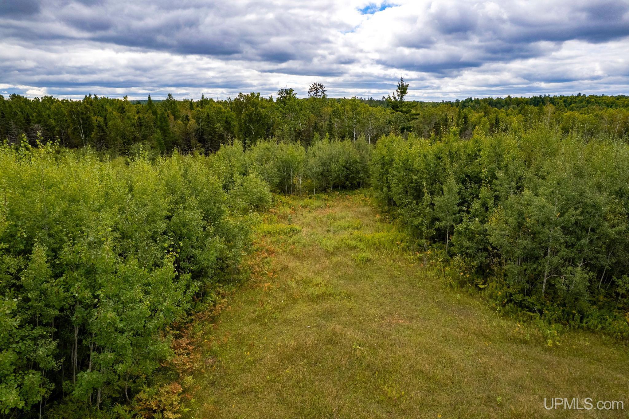 Homes for sale in Perronville, MI | Tbd Murray 60 Rd, Perronville, MI 49873 | MLS# 50192391