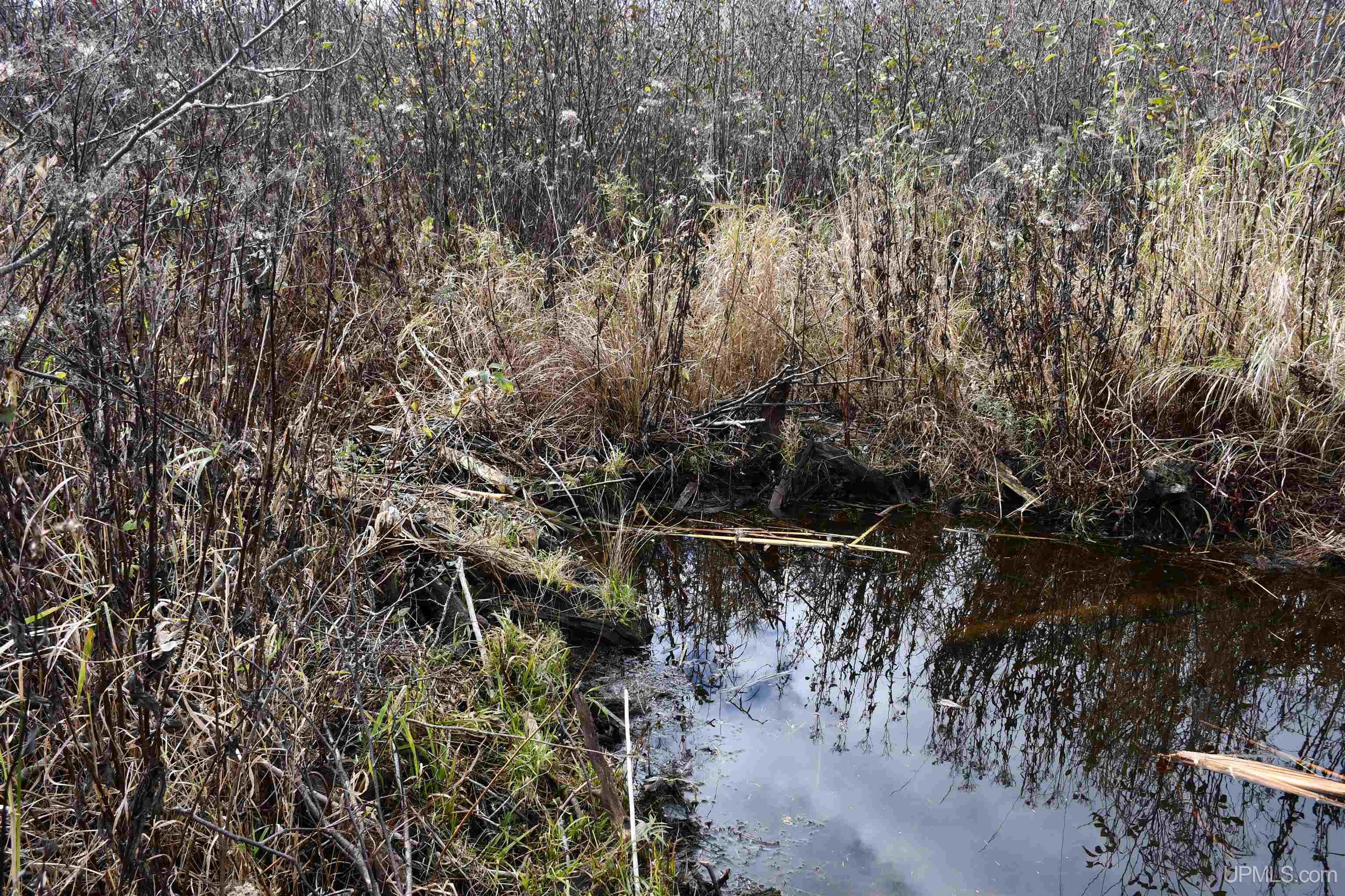 Homes for sale in Rock, MI | Tbd 40 Acres  Mud Creek  M35 Hwy, Rock, MI 49880 | MLS# 50192465