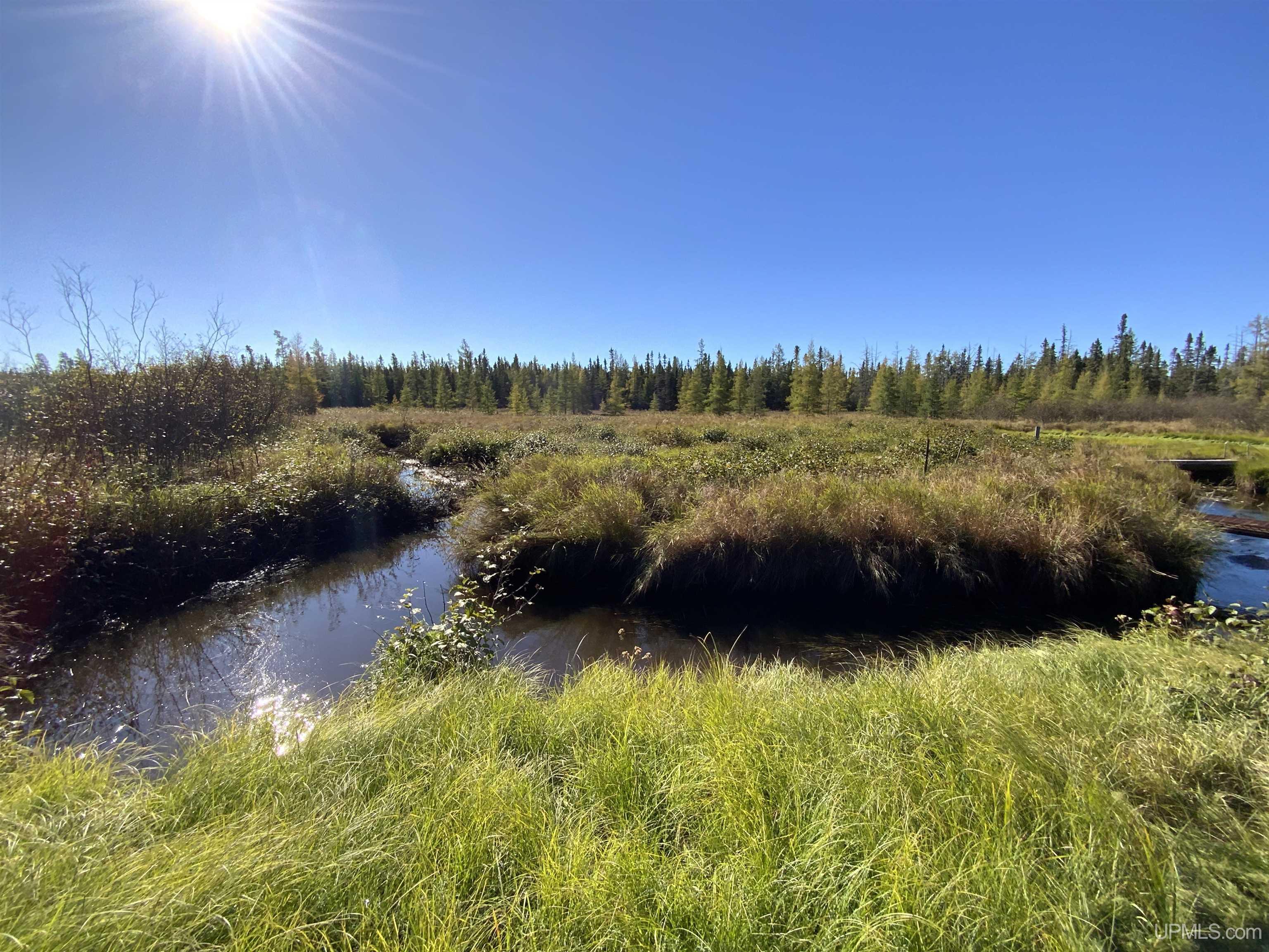 Homes for sale in Ishpeming, MI | Tbd Co Rd Ccf Rd, Ishpeming, MI 49849 | MLS# 50192664