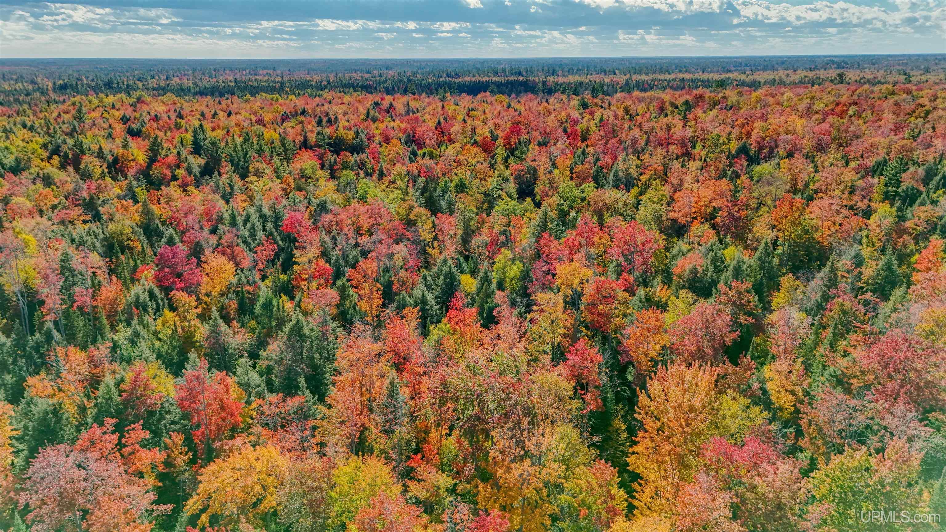 Homes for sale in Seney, MI | 11591 N Walsh Grade Rd, Seney, MI 49883 | MLS# 50192755