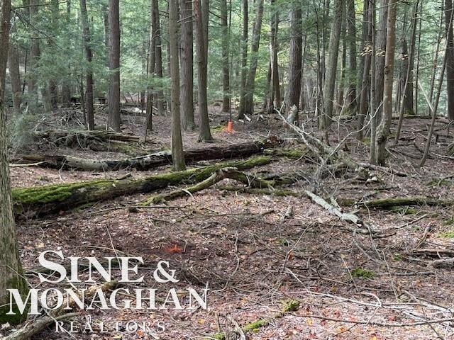 Homes for sale in Northport, MI | 00001 E Cherry Park Dr, Northport, MI 49670 | MLS# 50192759