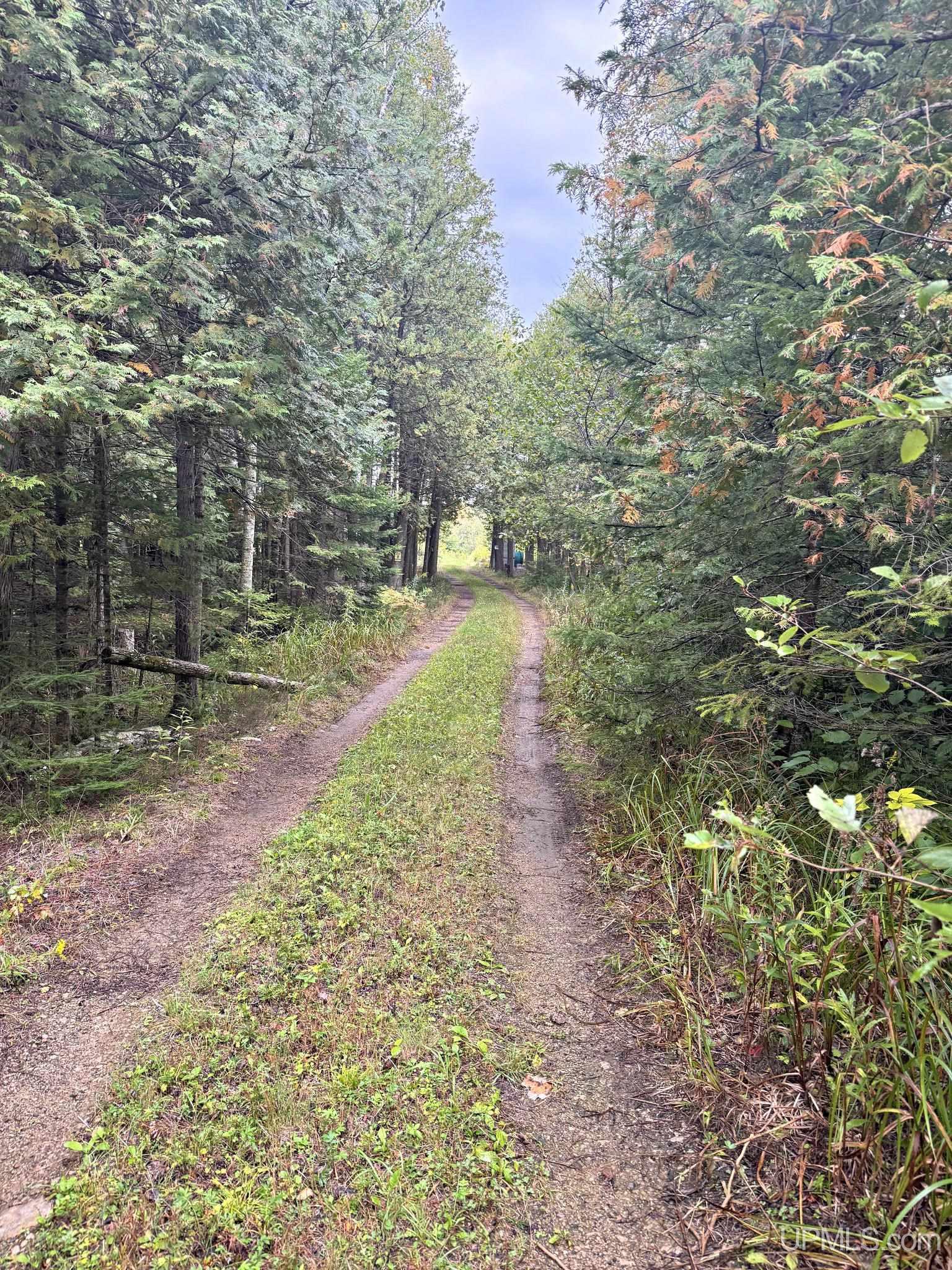 Homes for sale in Menominee, MI | W2551 Co Rd 338 Rd, Menominee, MI 49858 | MLS# 50192826