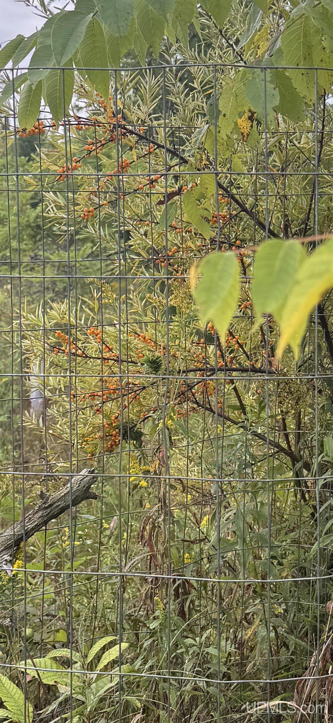 Homes for sale in Menominee, MI | W2551 Co Rd 338 Rd, Menominee, MI 49858 | MLS# 50192826