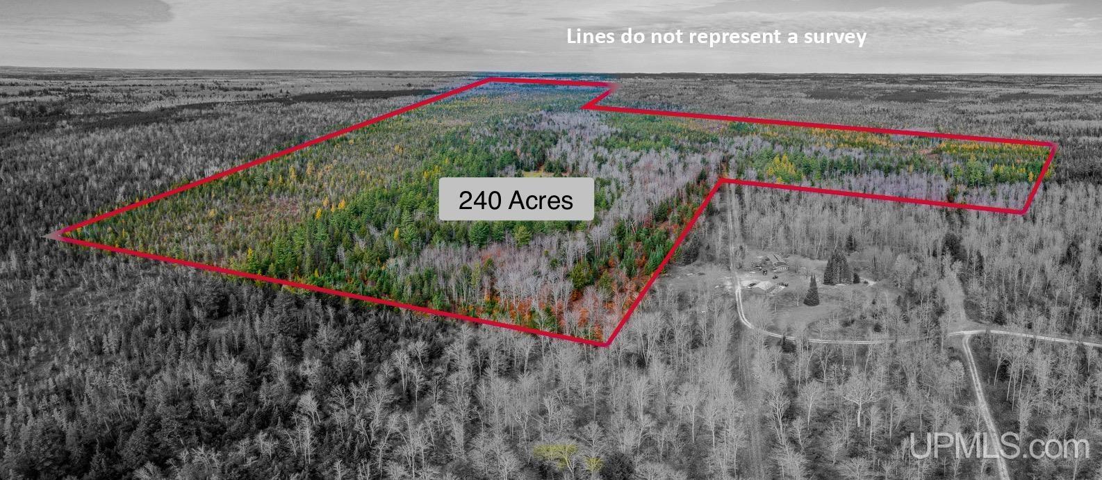 Homes for sale in Wetmore, MI | 240 Acres Long Lake Rd, Wetmore, MI 49895 | MLS# 50192897