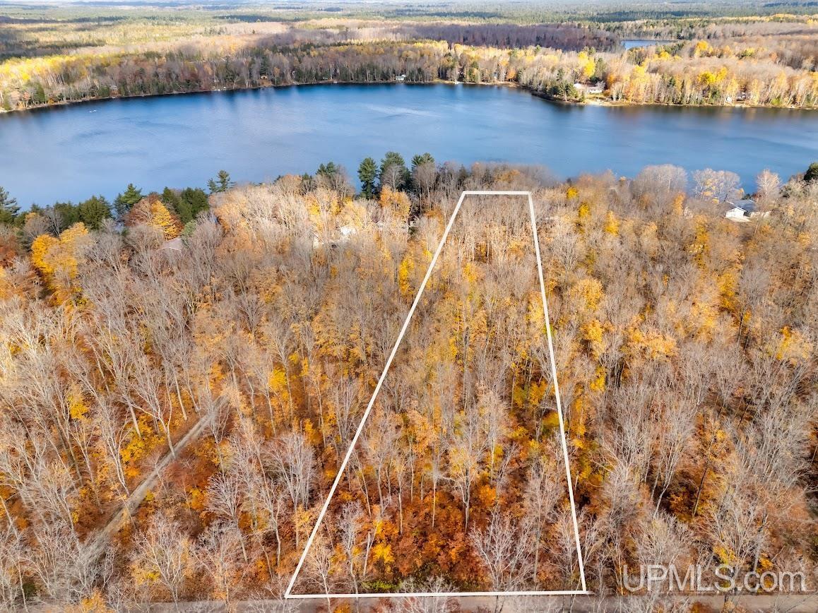 Homes for sale in Manistique, MI | Tbd W Smith Lake Dr, Manistique, MI 49854 | MLS# 50192960