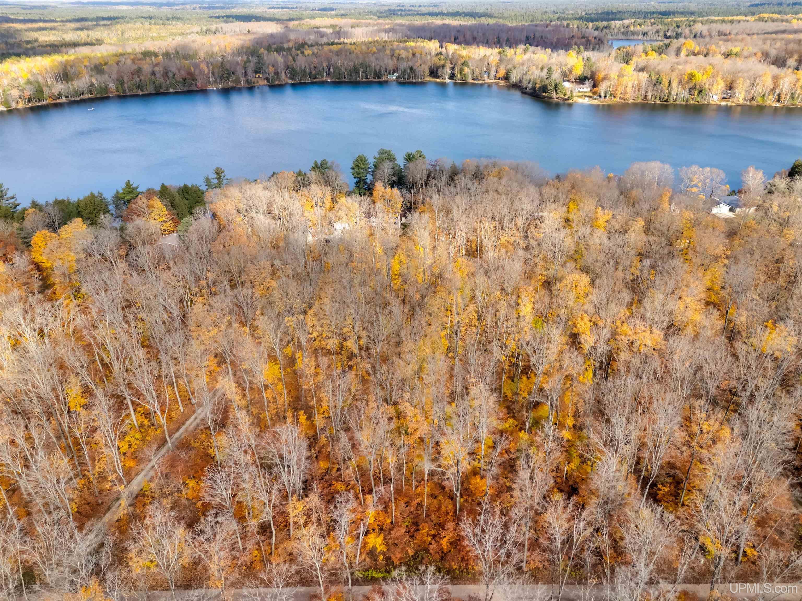 Homes for sale in Manistique, MI | Tbd W Smith Lake Dr, Manistique, MI 49854 | MLS# 50192960