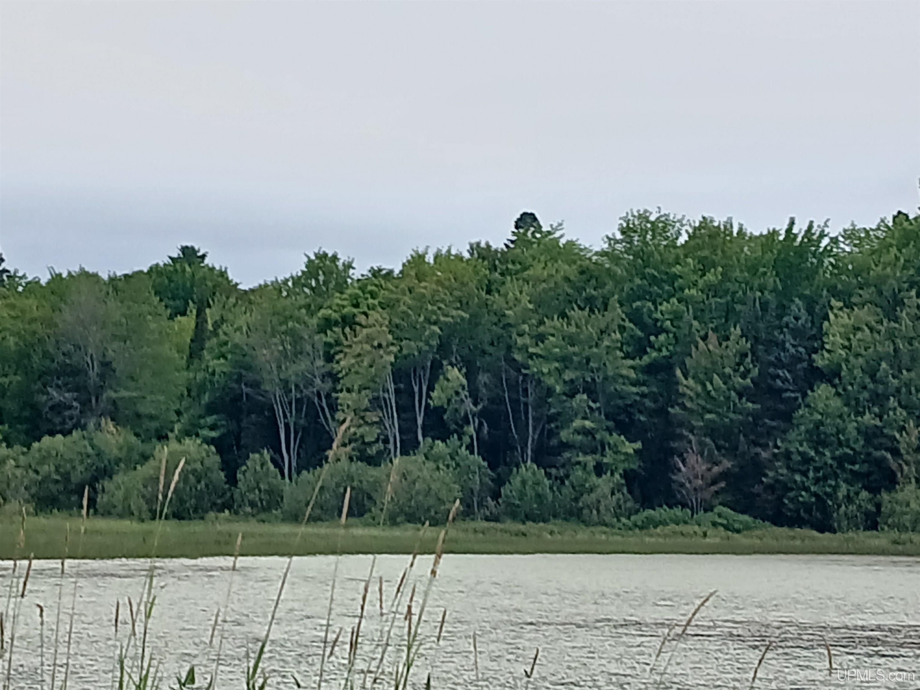 Homes for sale in Lake Linden, MI | Parcel 7 Keweenaw Pass Rd, Lake Linden, MI 49945 | MLS# 50193041