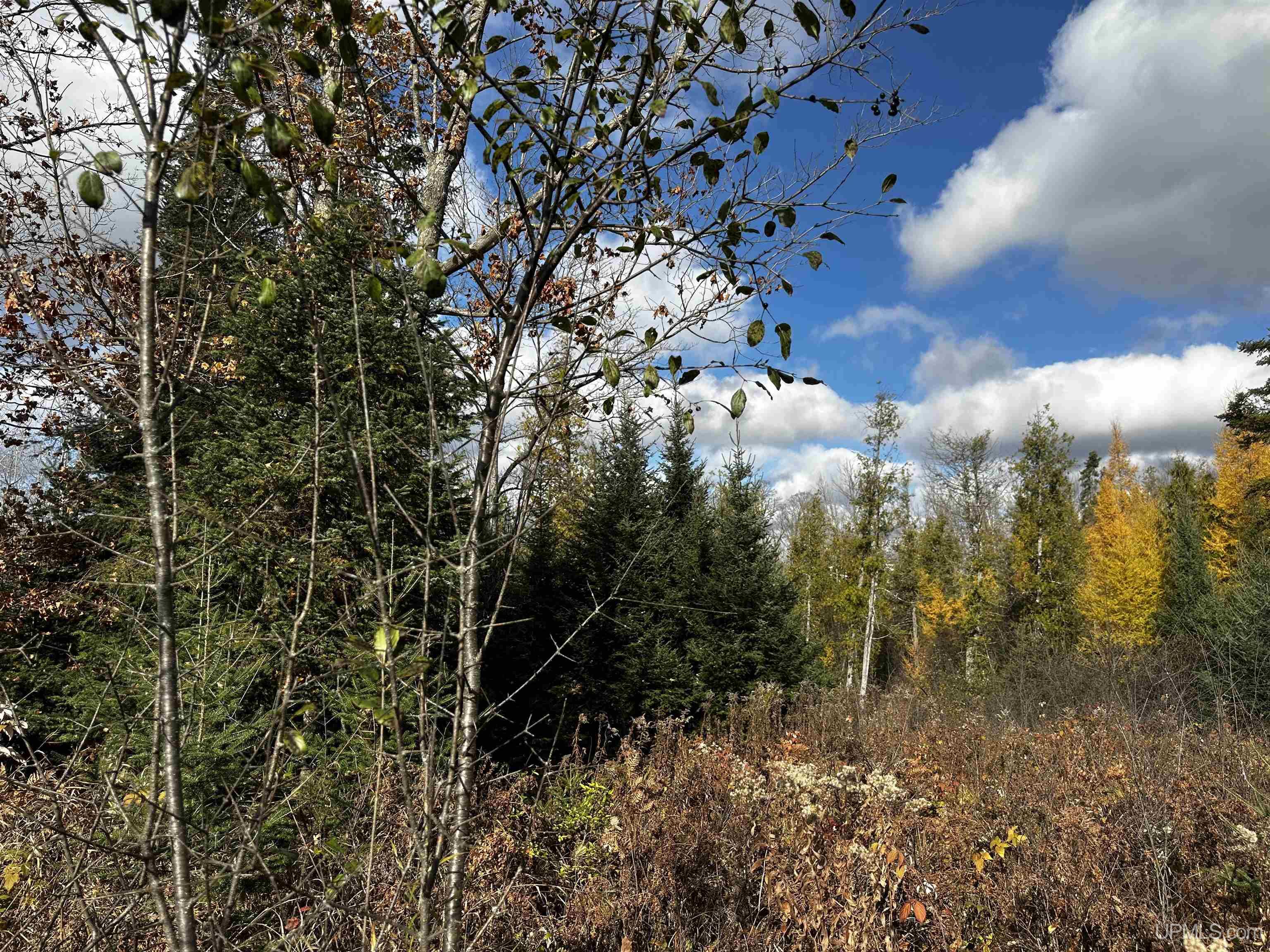 Homes for sale in Foster City, MI | Tbd Harry Peterson Dr, Foster City, MI 49834 | MLS# 50193059