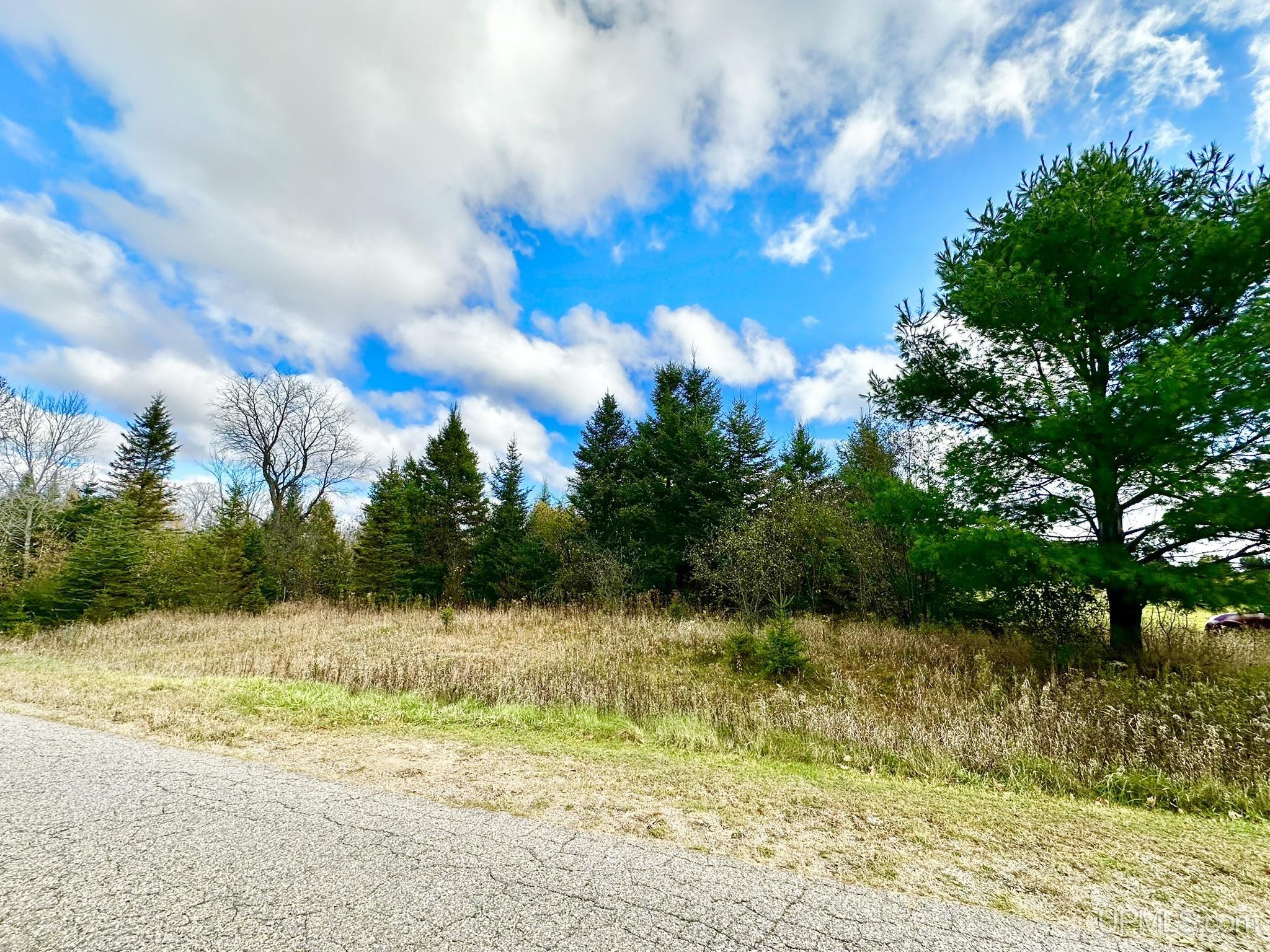 Homes for sale in Foster City, MI | Tbd Harry Peterson Dr, Foster City, MI 49834 | MLS# 50193059