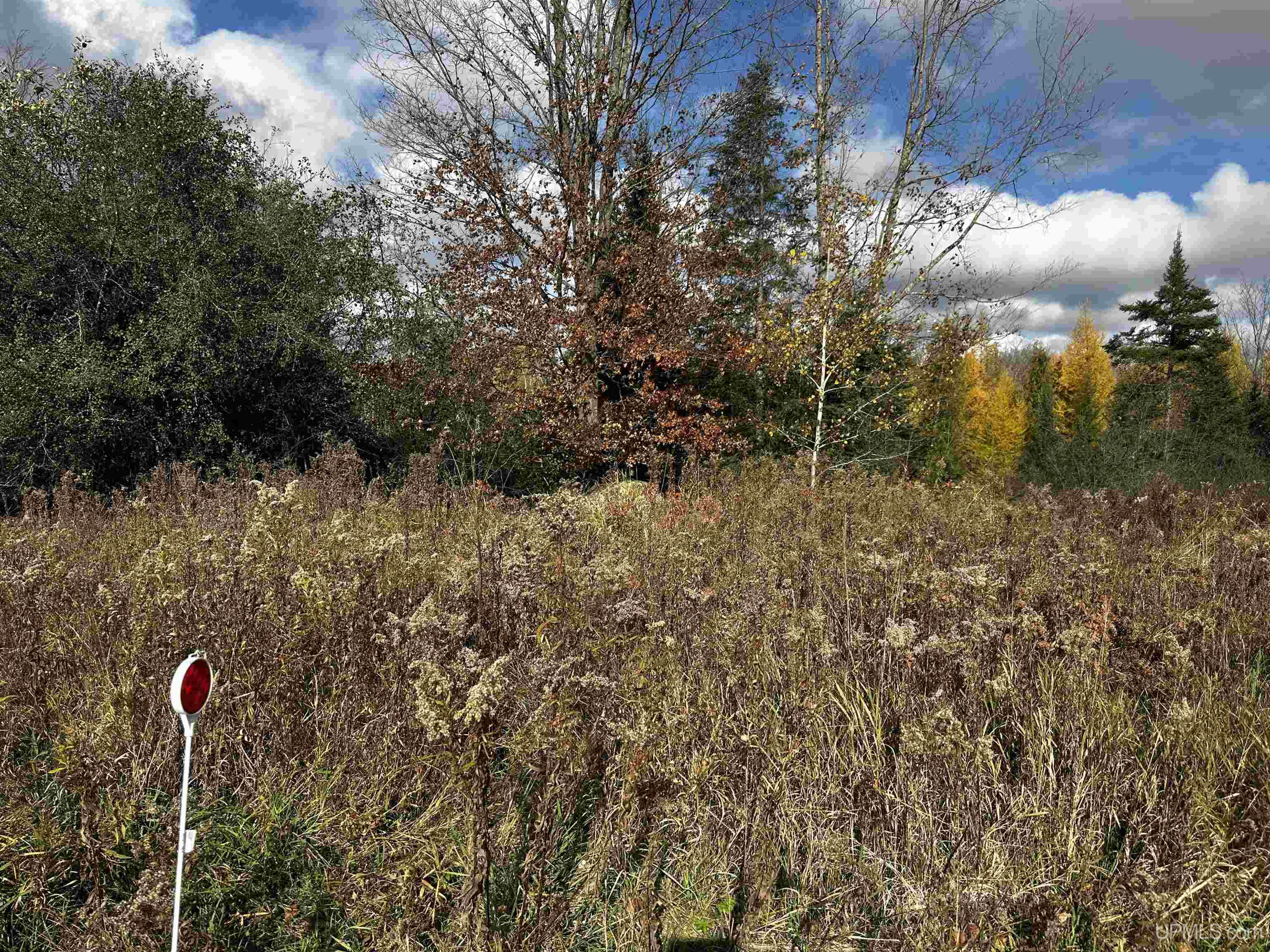 Homes for sale in Foster City, MI | Tbd Harry Peterson Dr, Foster City, MI 49834 | MLS# 50193059