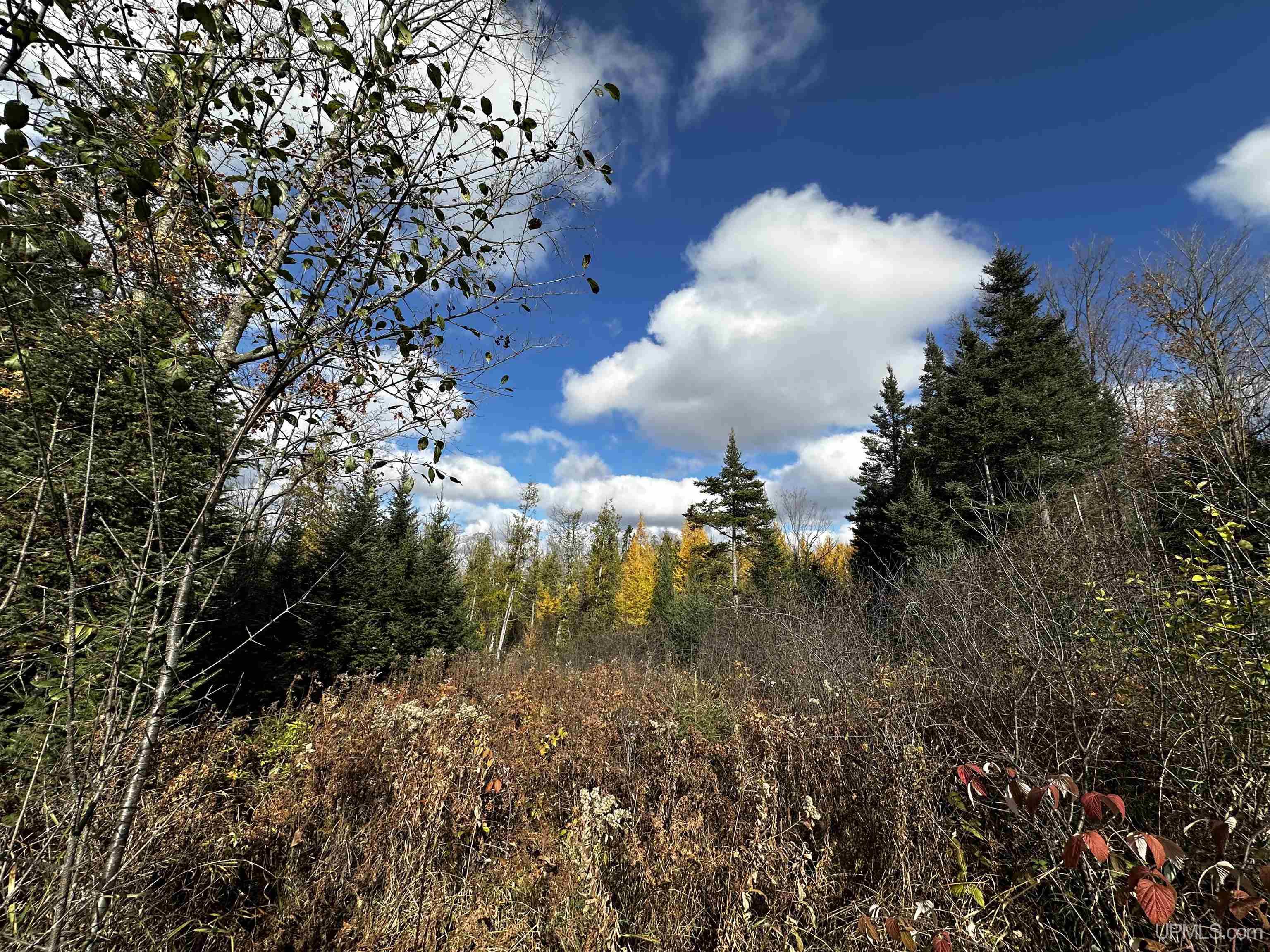 Homes for sale in Foster City, MI | Tbd Harry Peterson Dr, Foster City, MI 49834 | MLS# 50193059