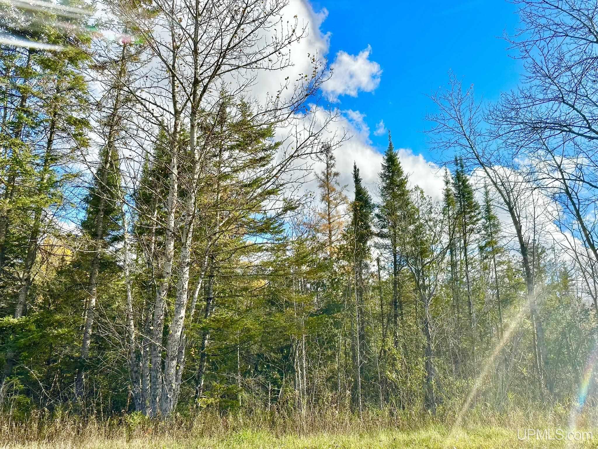 Homes for sale in Foster City, MI | Tbd Harry Peterson Dr, Foster City, MI 49834 | MLS# 50193059