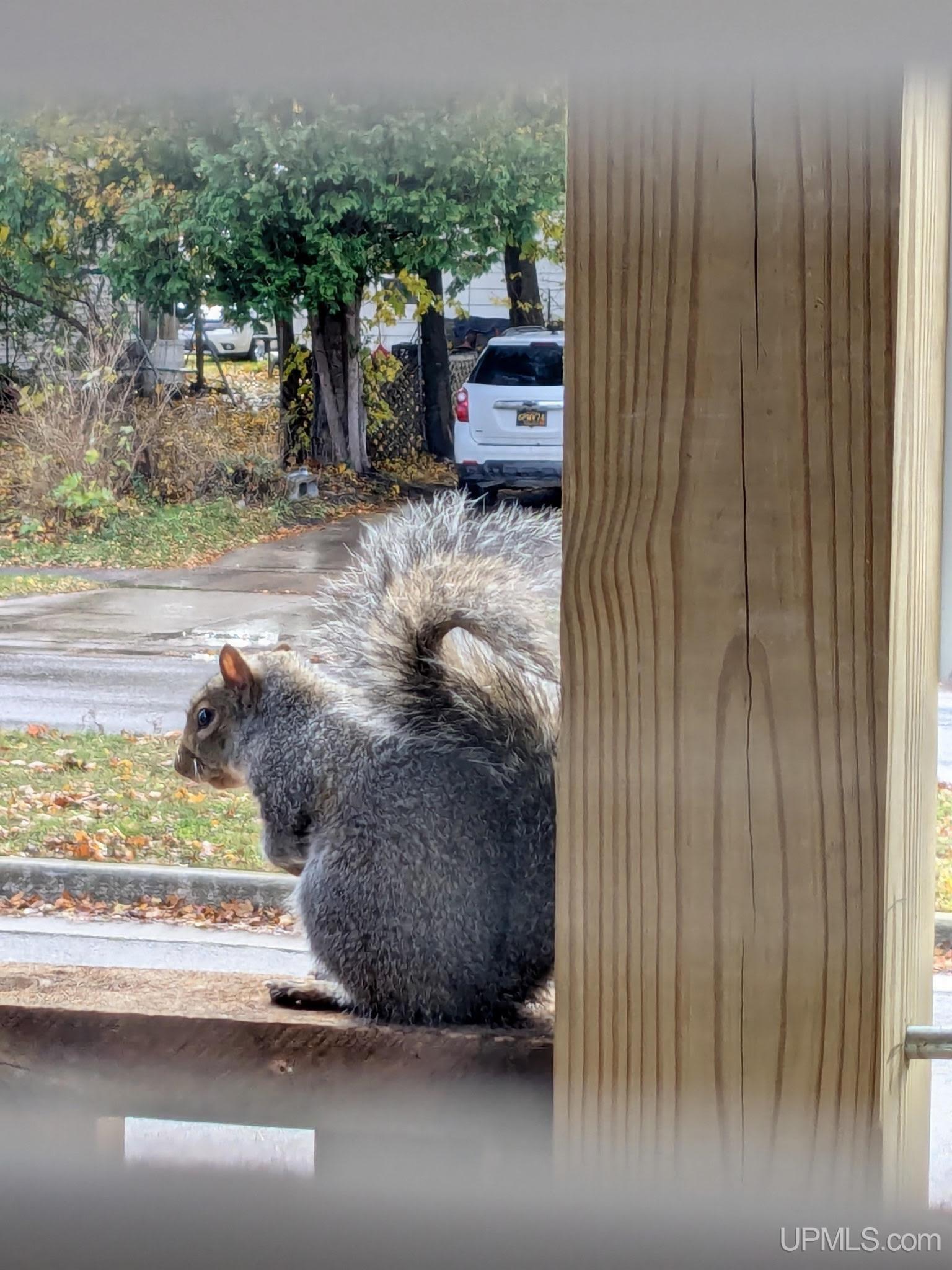 Homes for sale in Newberry, MI | 305 E Truman St, Newberry, MI 49868 | MLS# 50193125